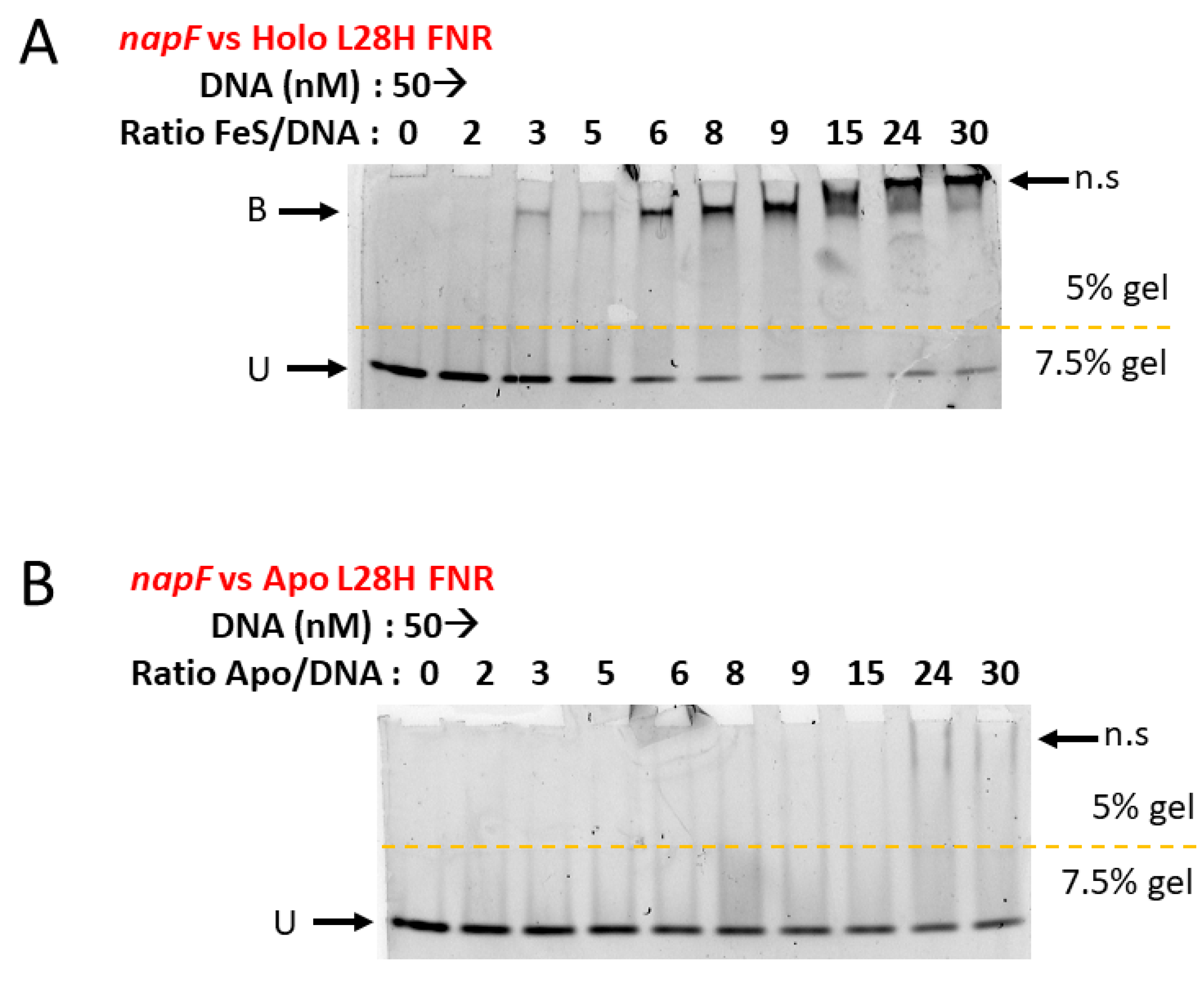 Inorganics 11 00450 g002