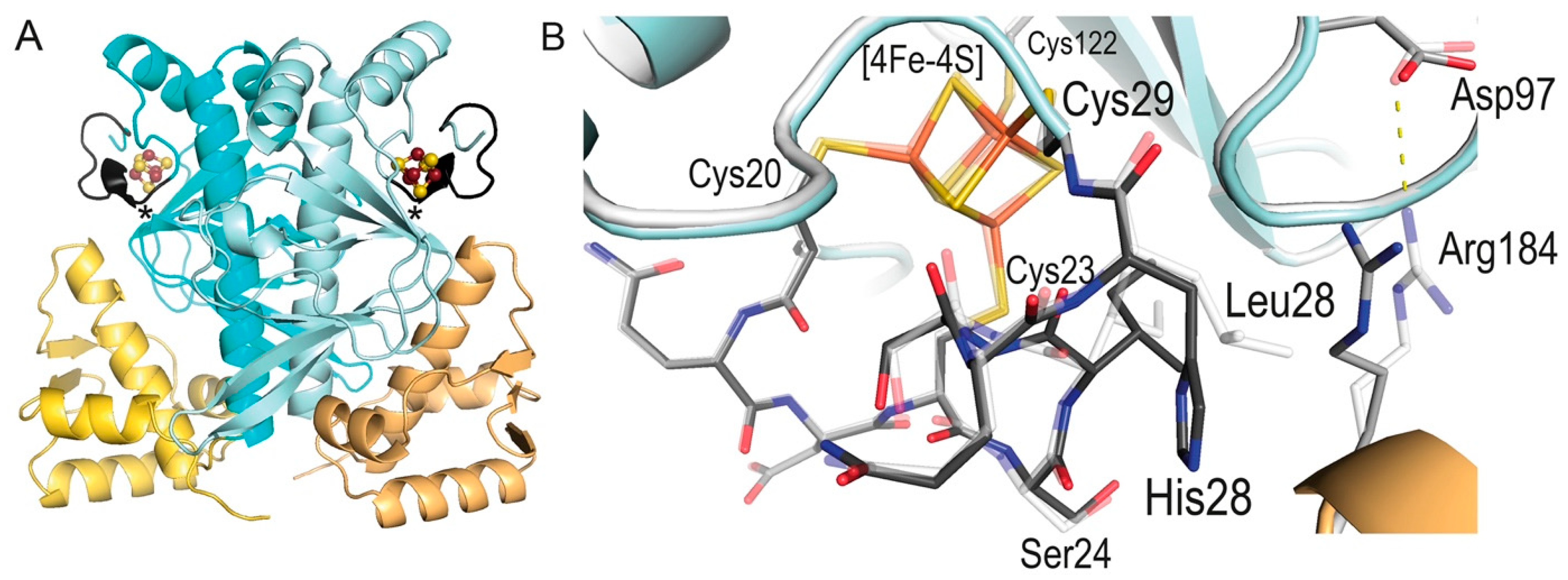 Inorganics 11 00450 g007