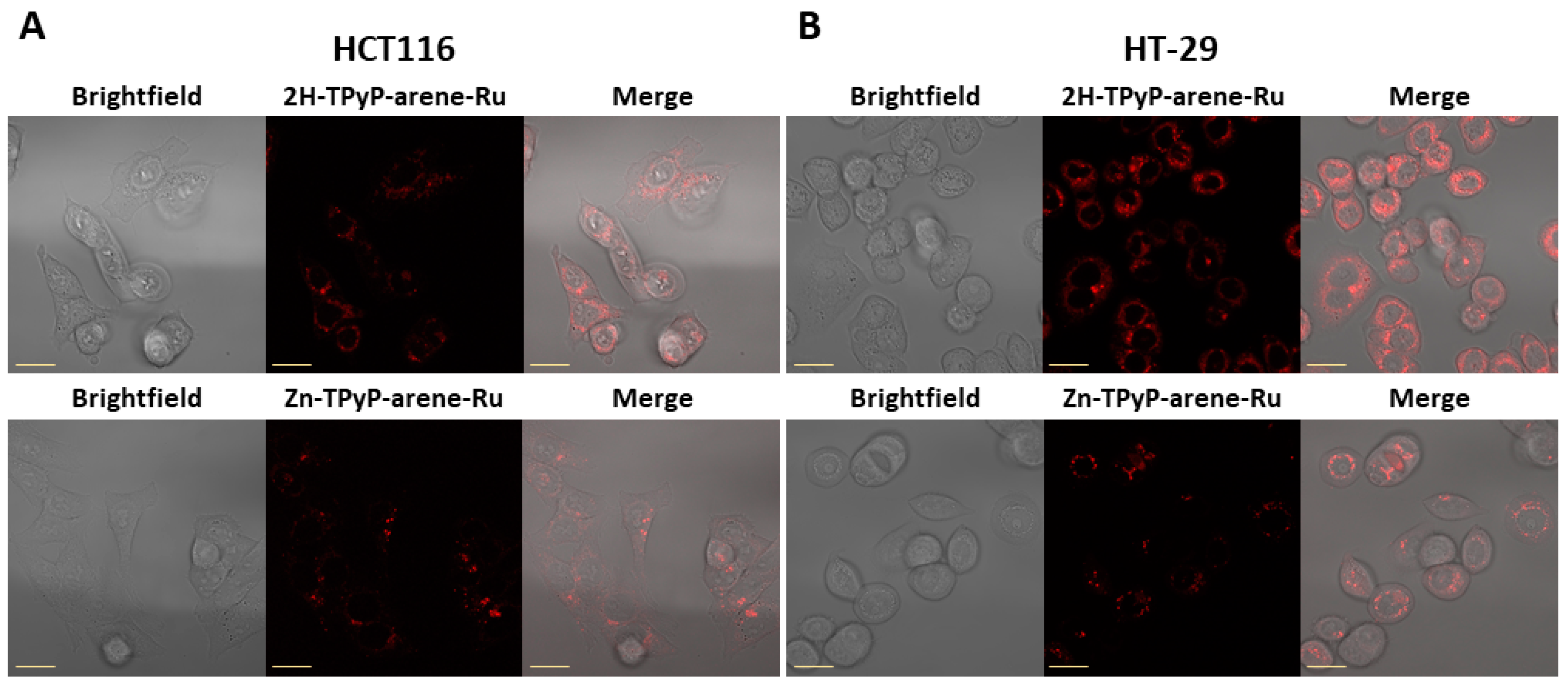 Inorganics 11 00451 g006