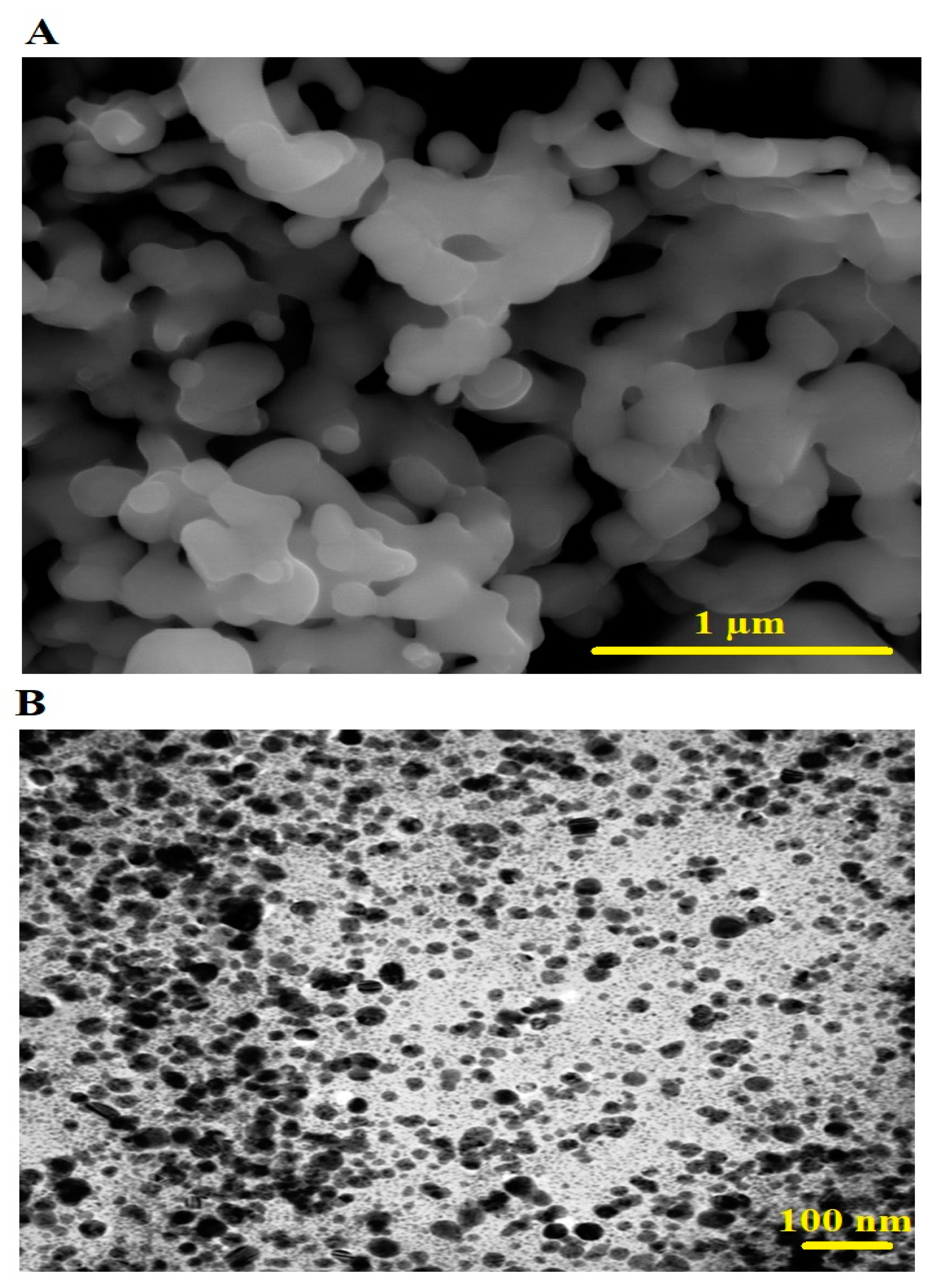 Inorganics 11 00453 g004