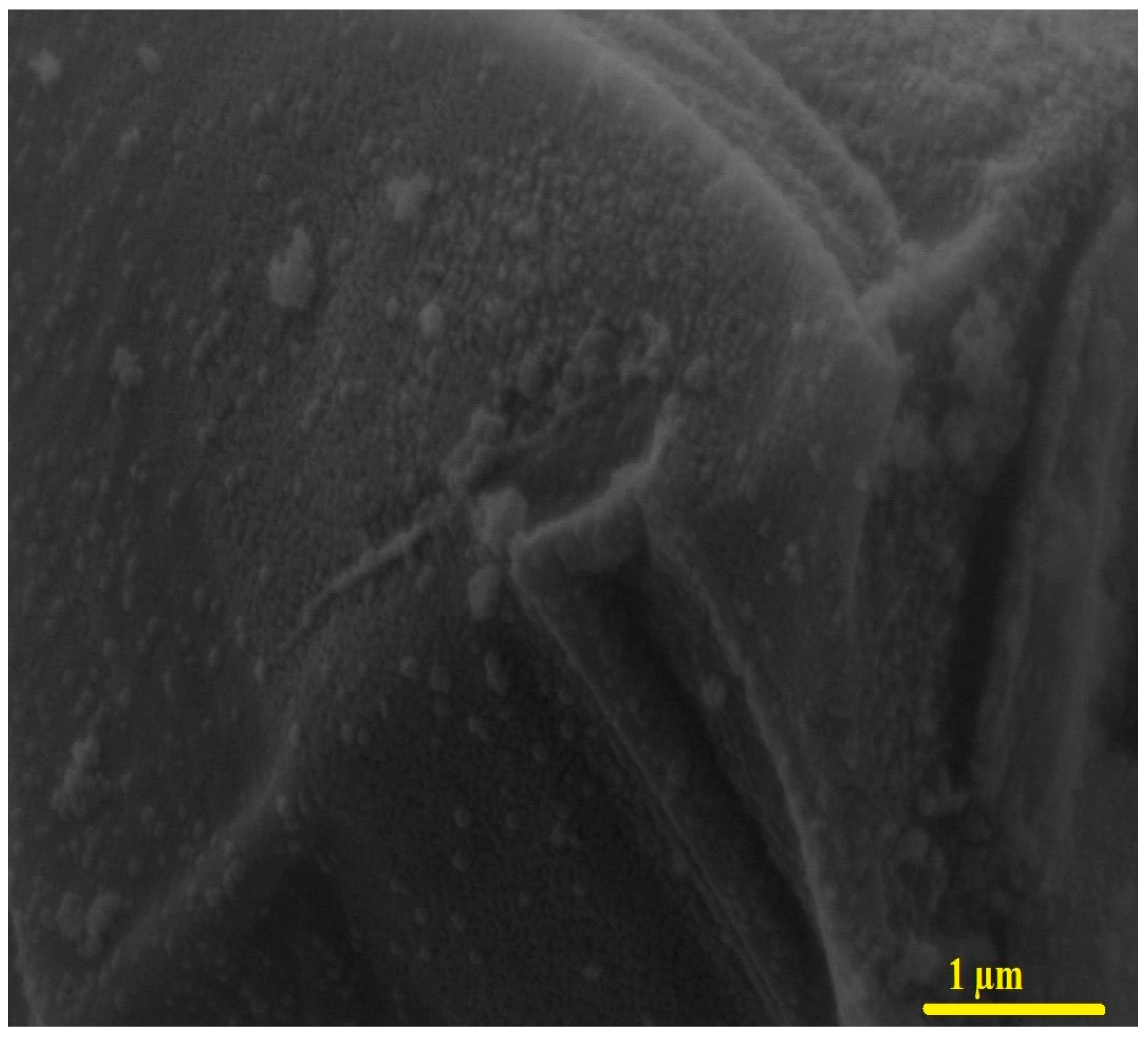 Inorganics 11 00453 g008