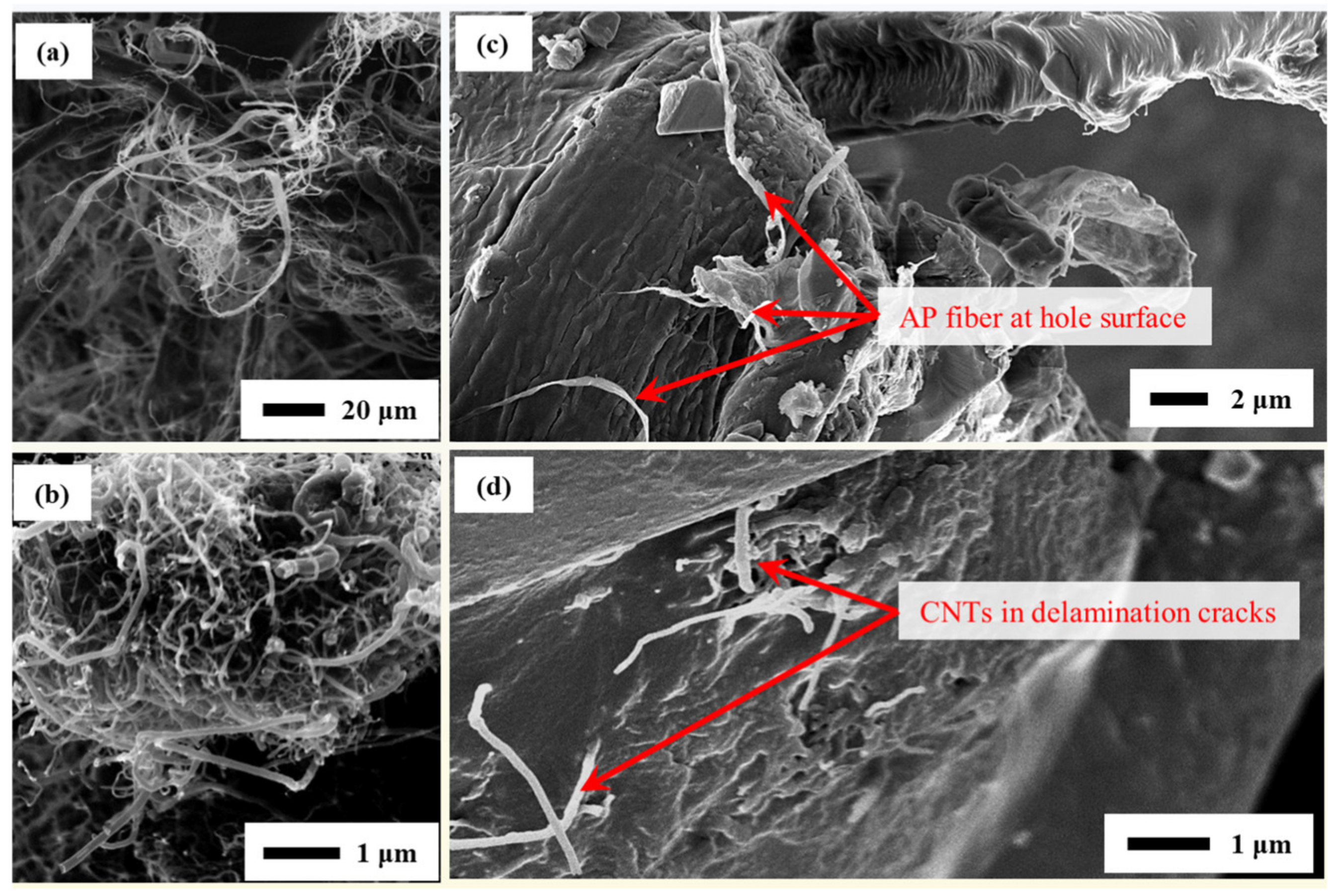 Inorganics 11 00454 g012 Inorganics 11 00454 g012