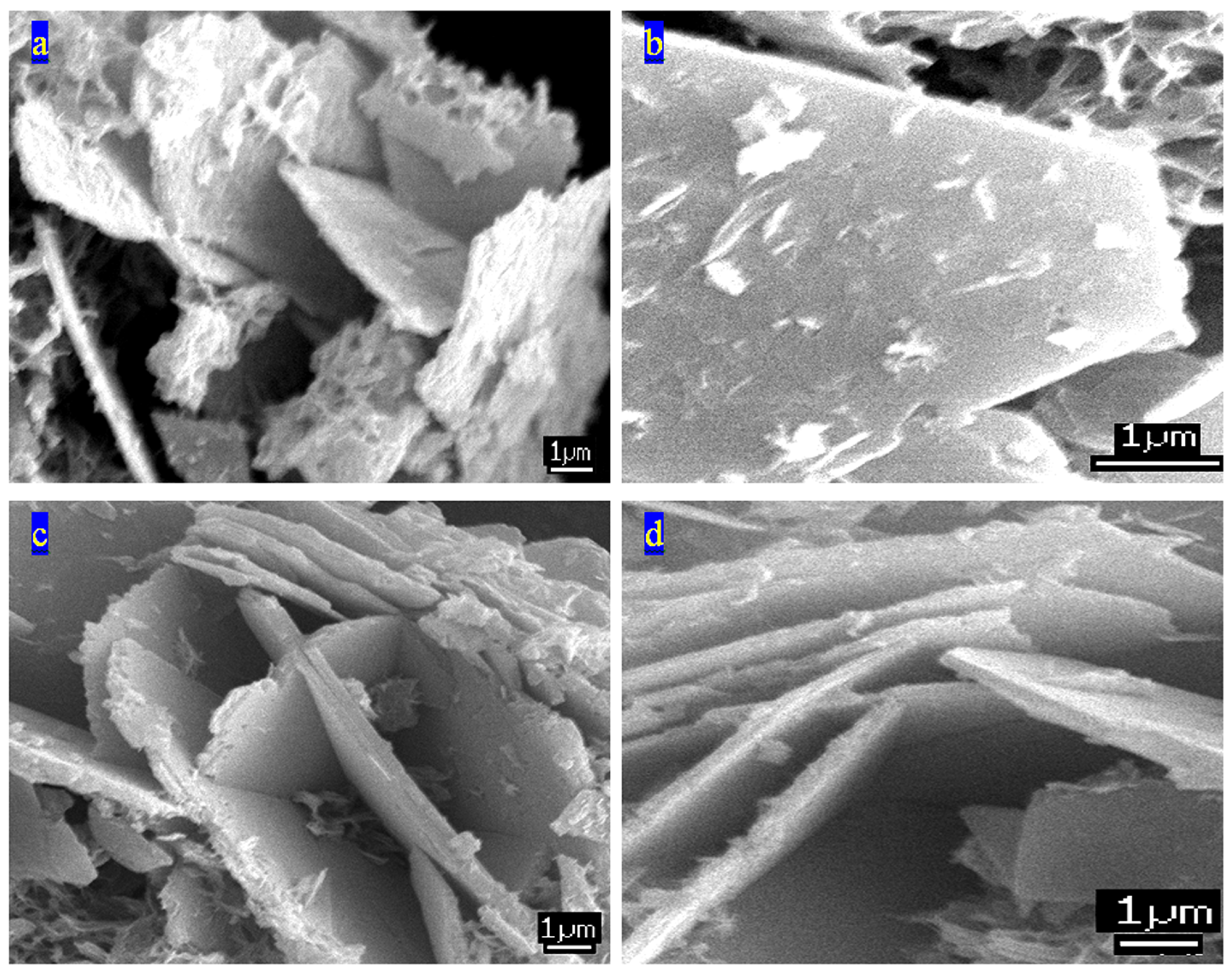 Inorganics 11 00458 g008