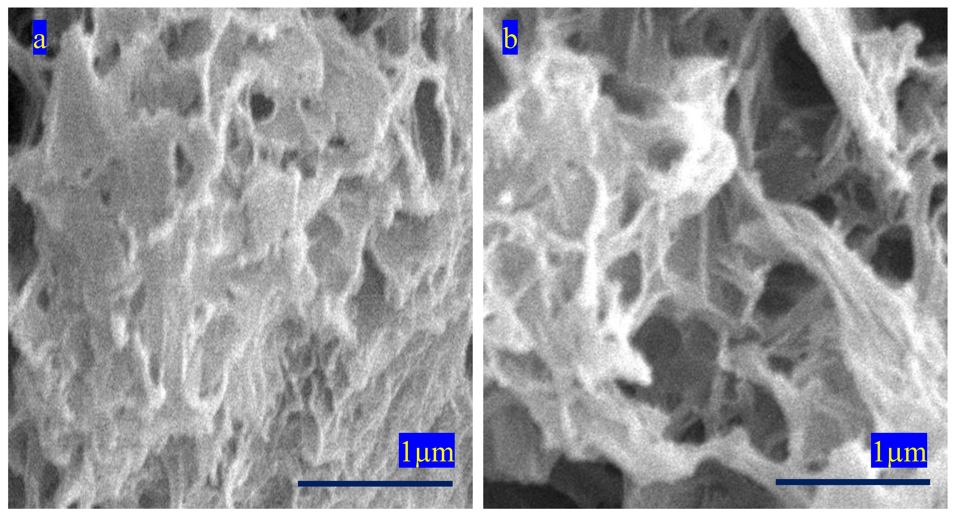 Inorganics 11 00458 g009