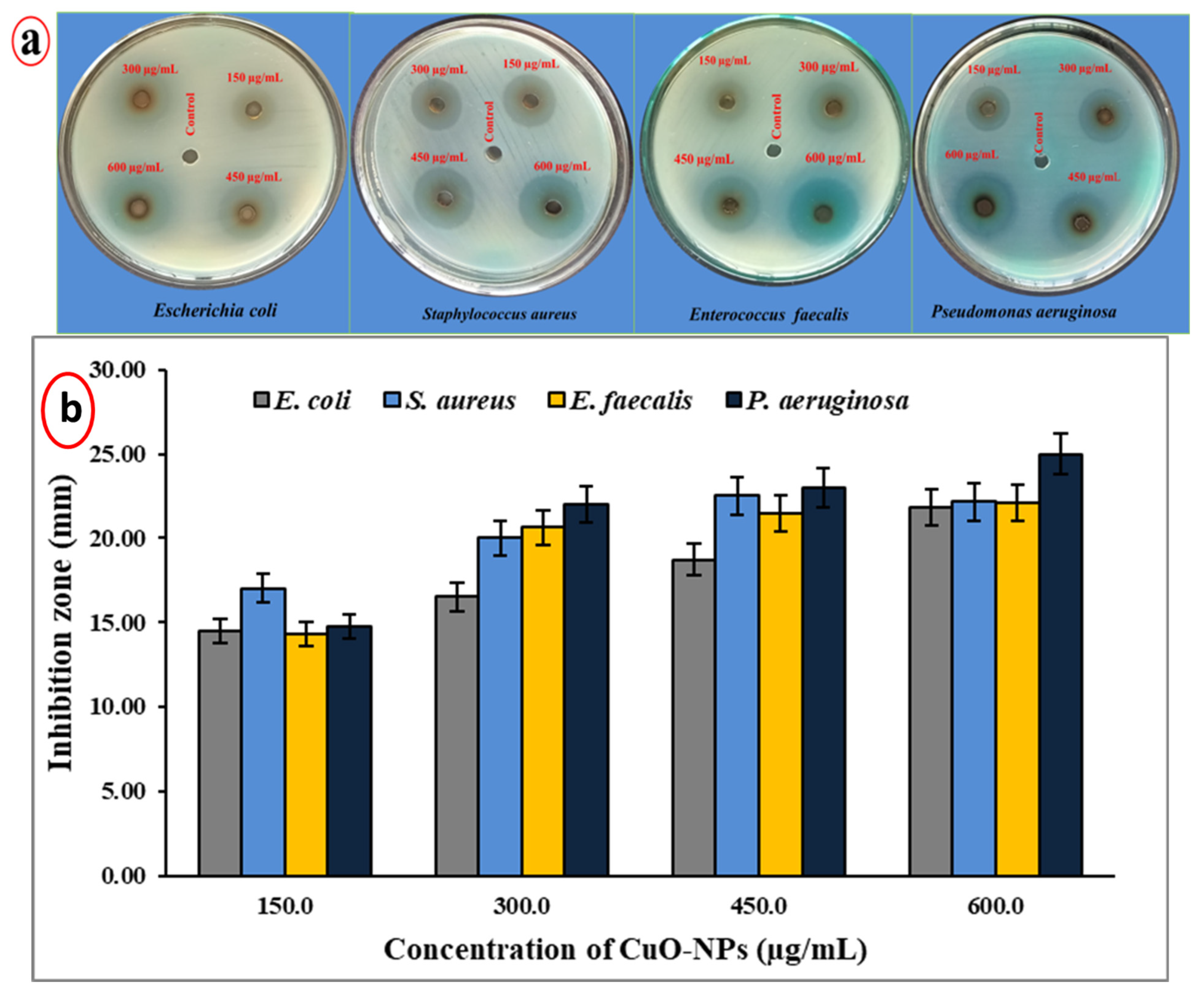 Inorganics 11 00462 g006 Inorganics 11 00462 g006