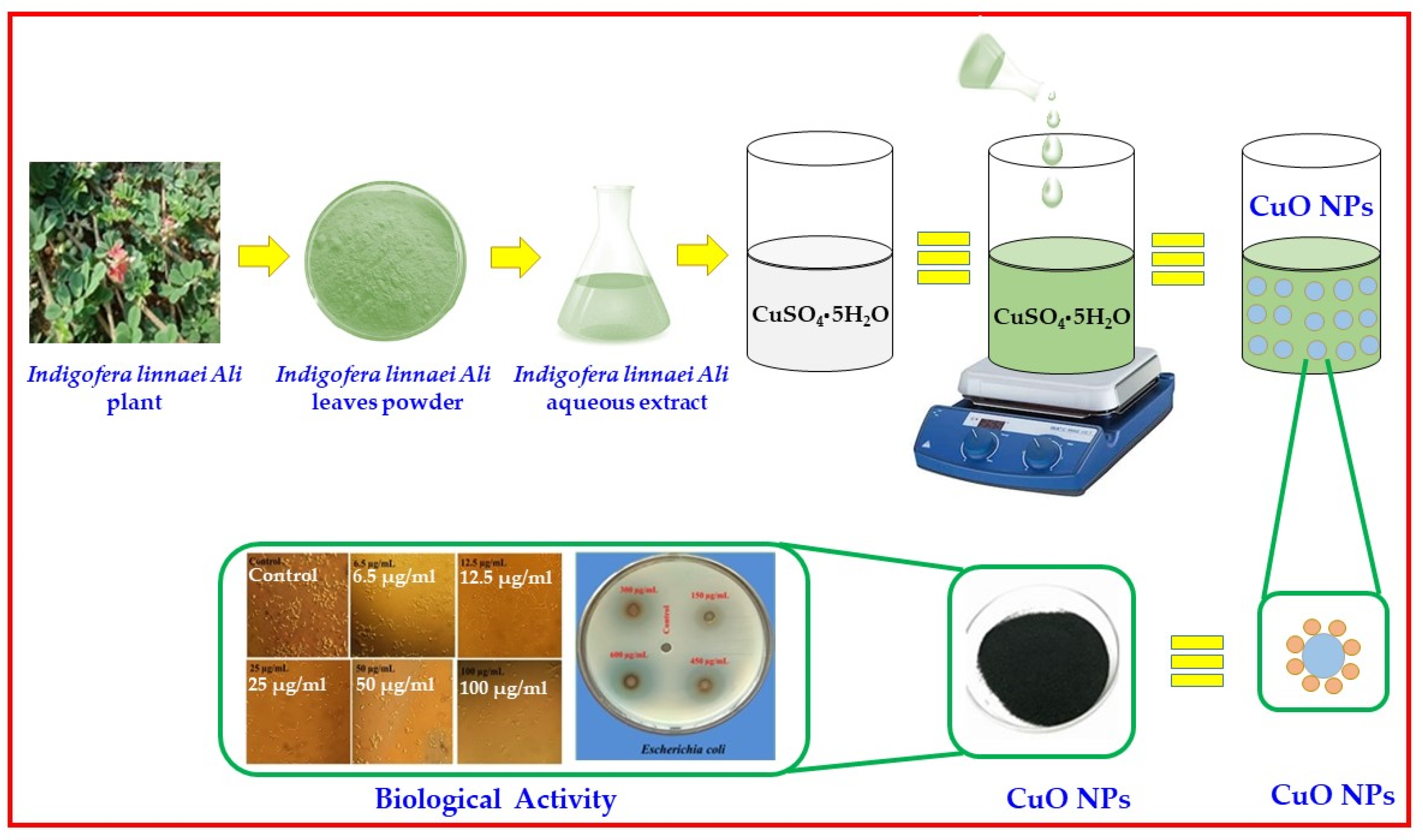 Inorganics 11 00462 sch001 Inorganics 11 00462 sch001