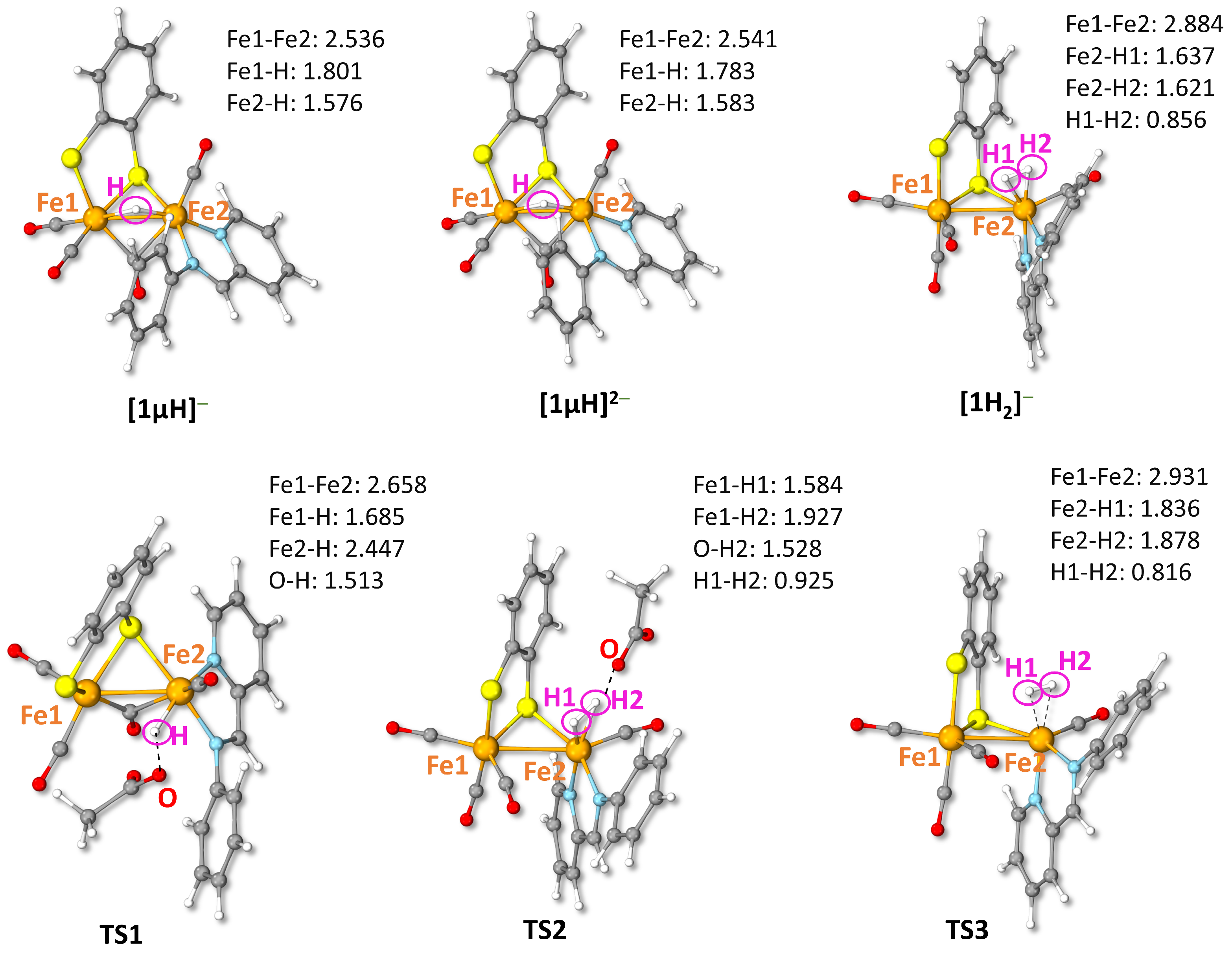 Inorganics 11 00463 g010
