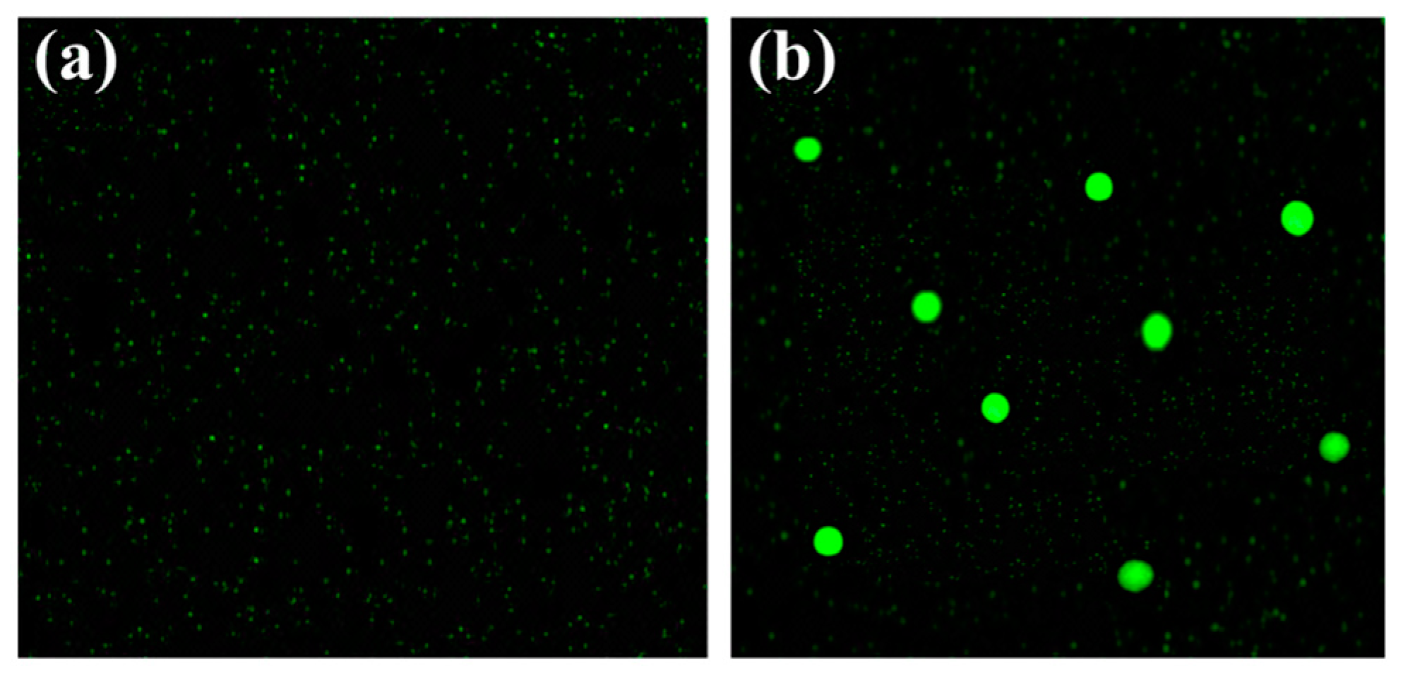 Inorganics 11 00466 g003