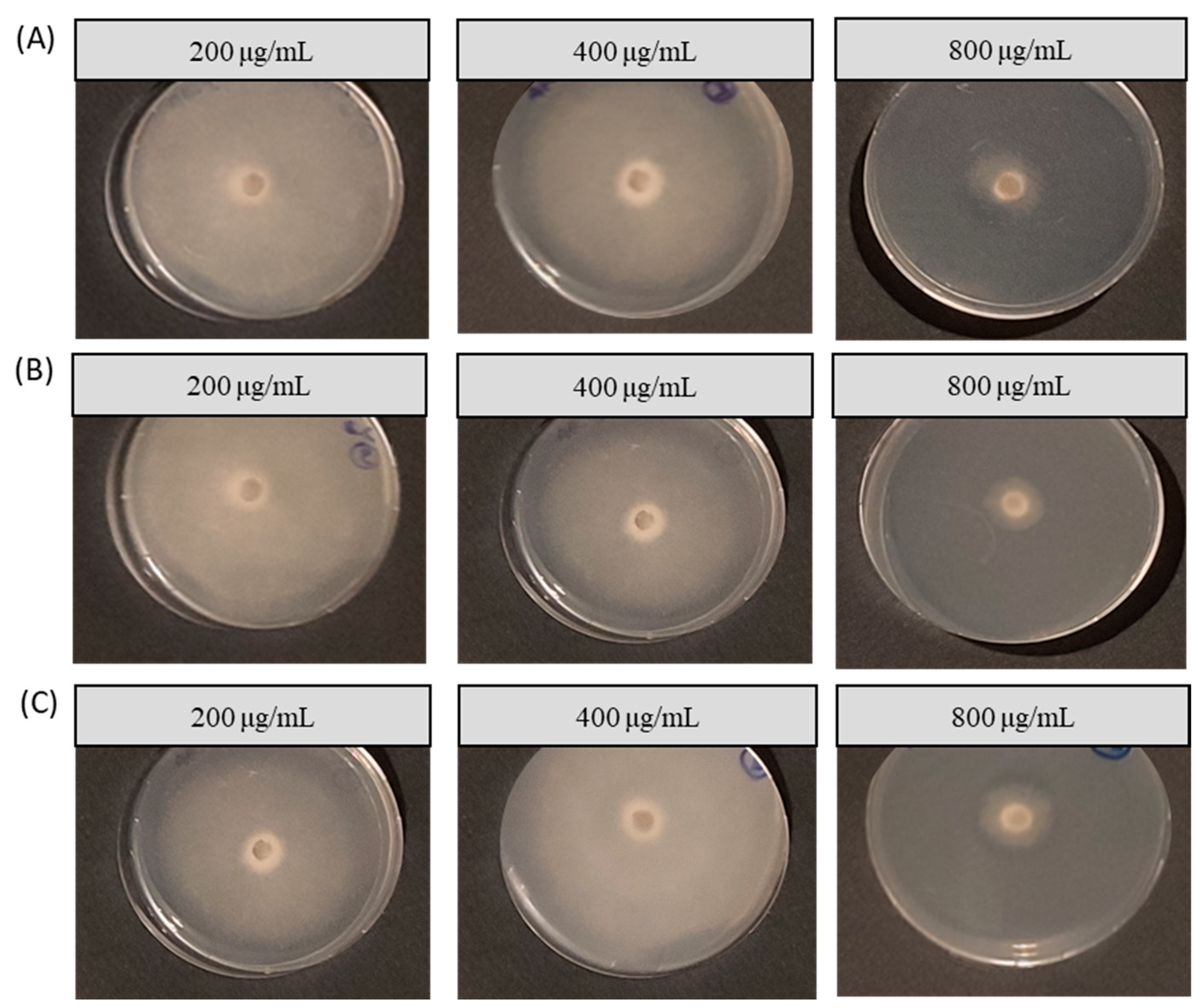 Inorganics 11 00470 g006