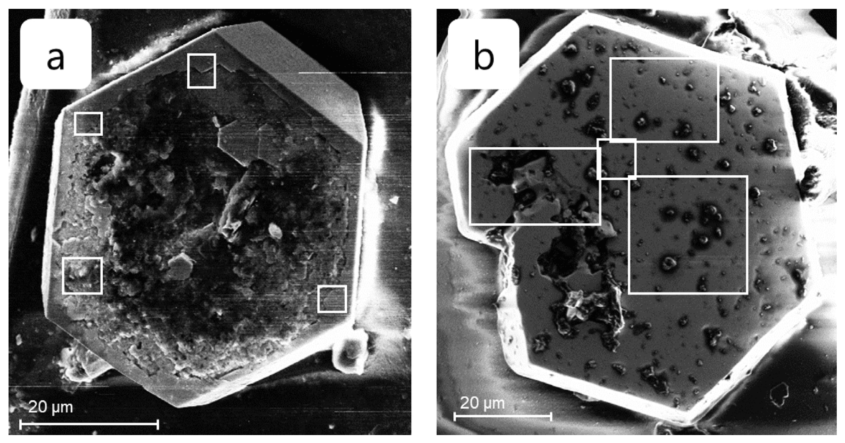 Inorganics 11 00481 g003