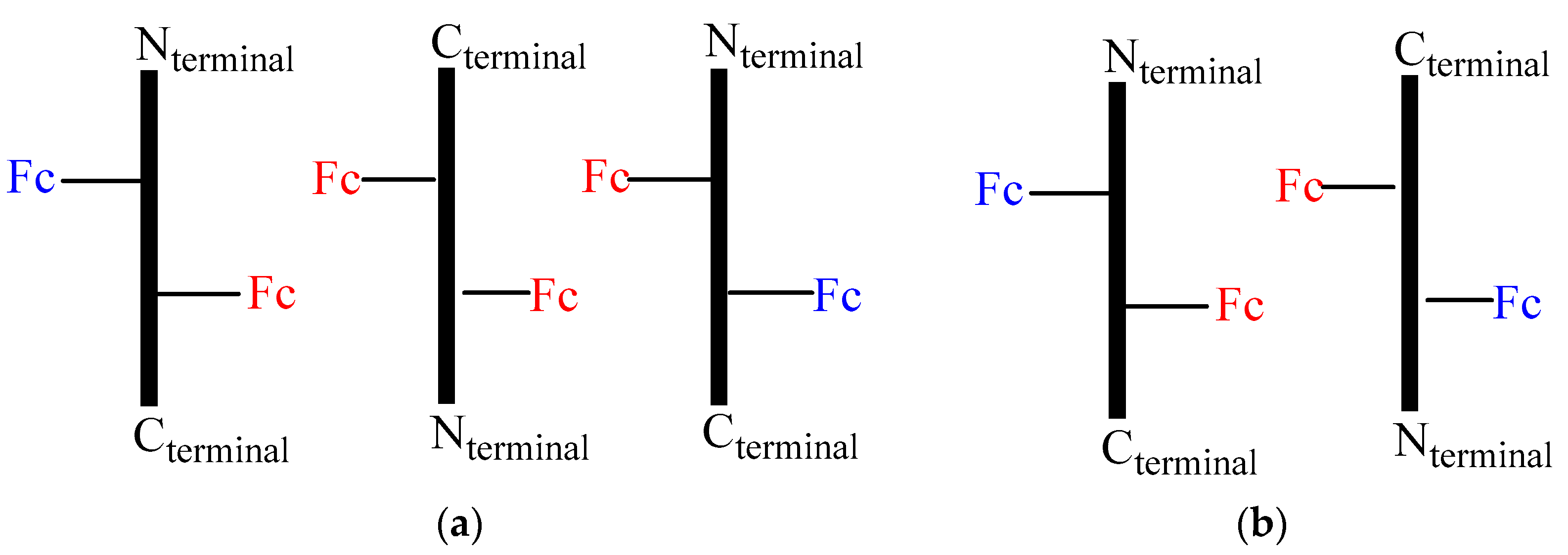 Inorganics 11 00482 g008