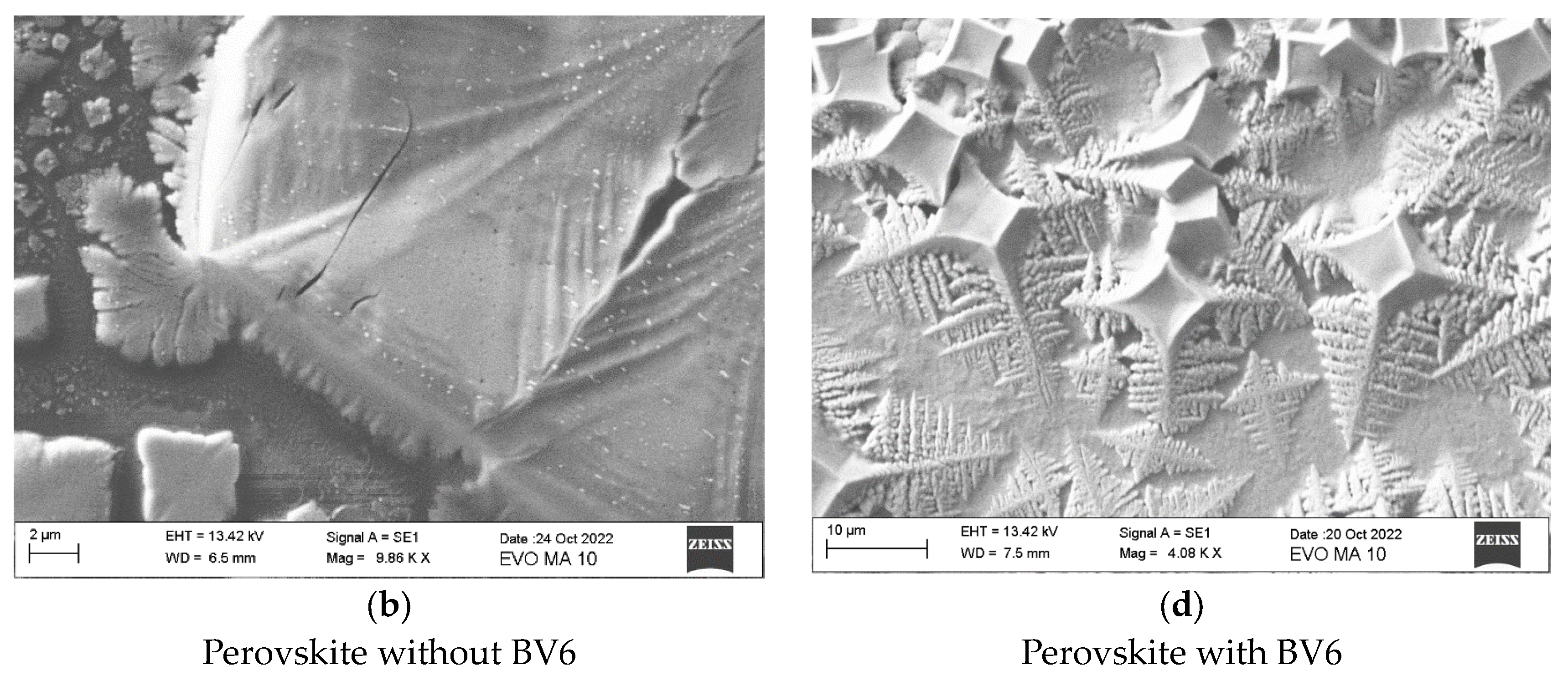 Inorganics 11 00485 g002b