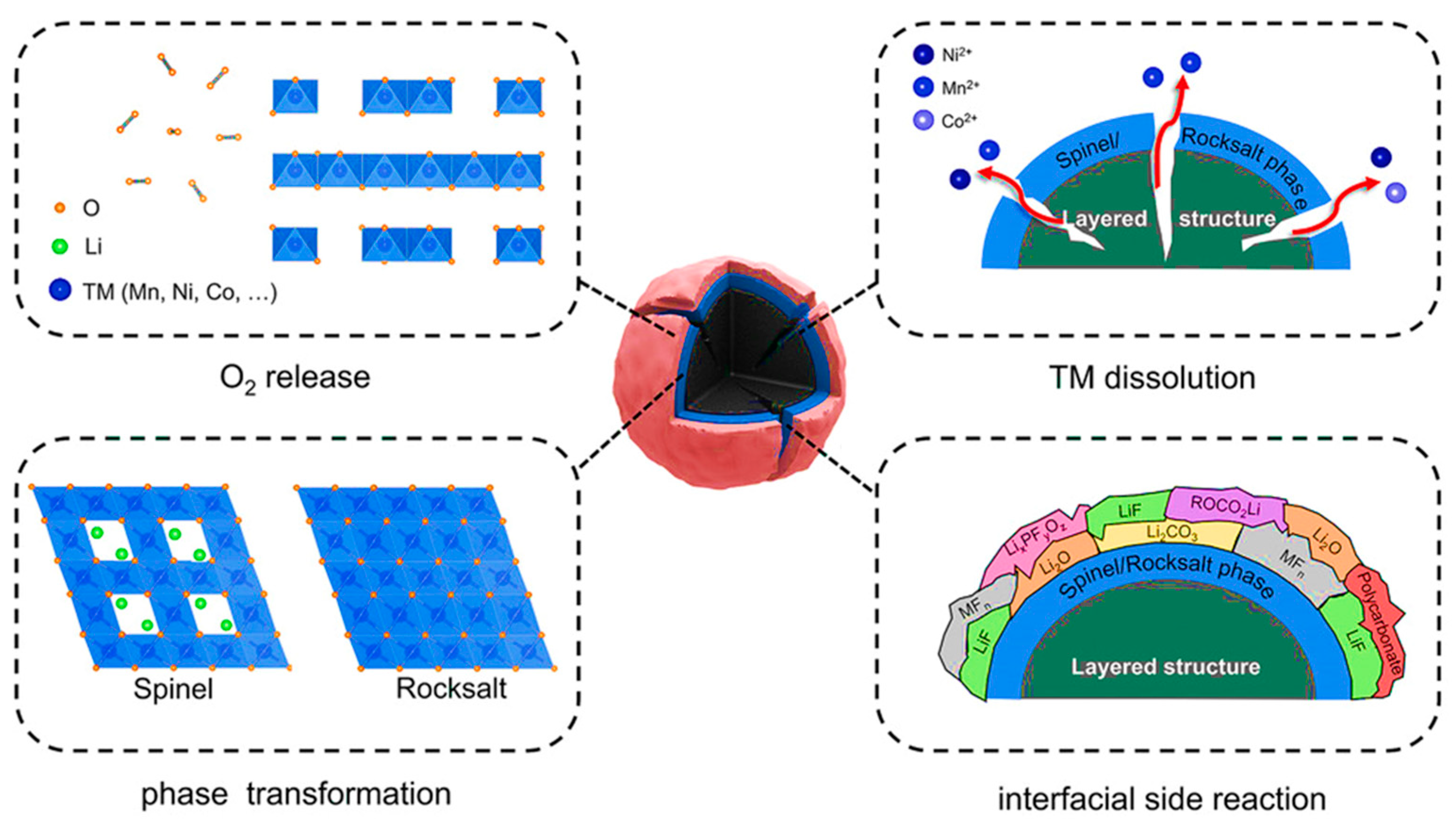 Inorganics 12 00008 g003