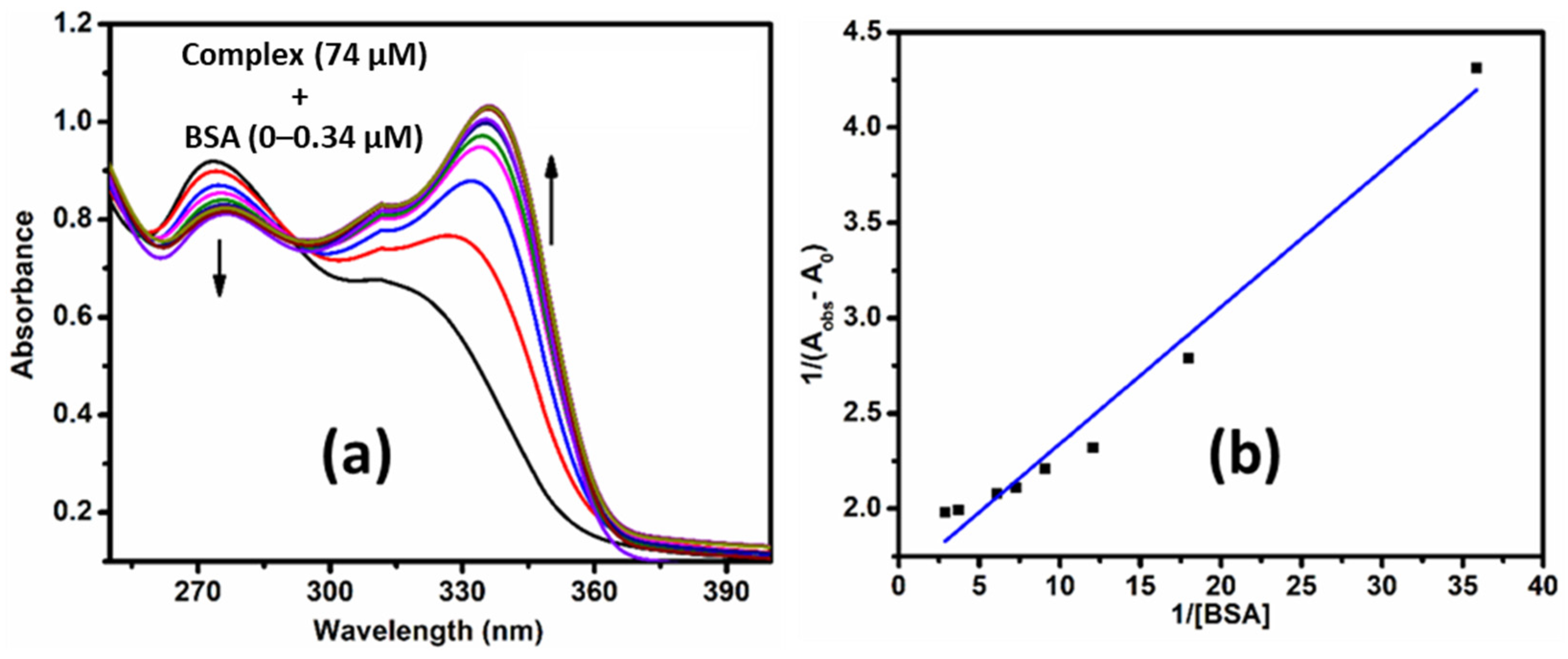Inorganics 12 00019 g005