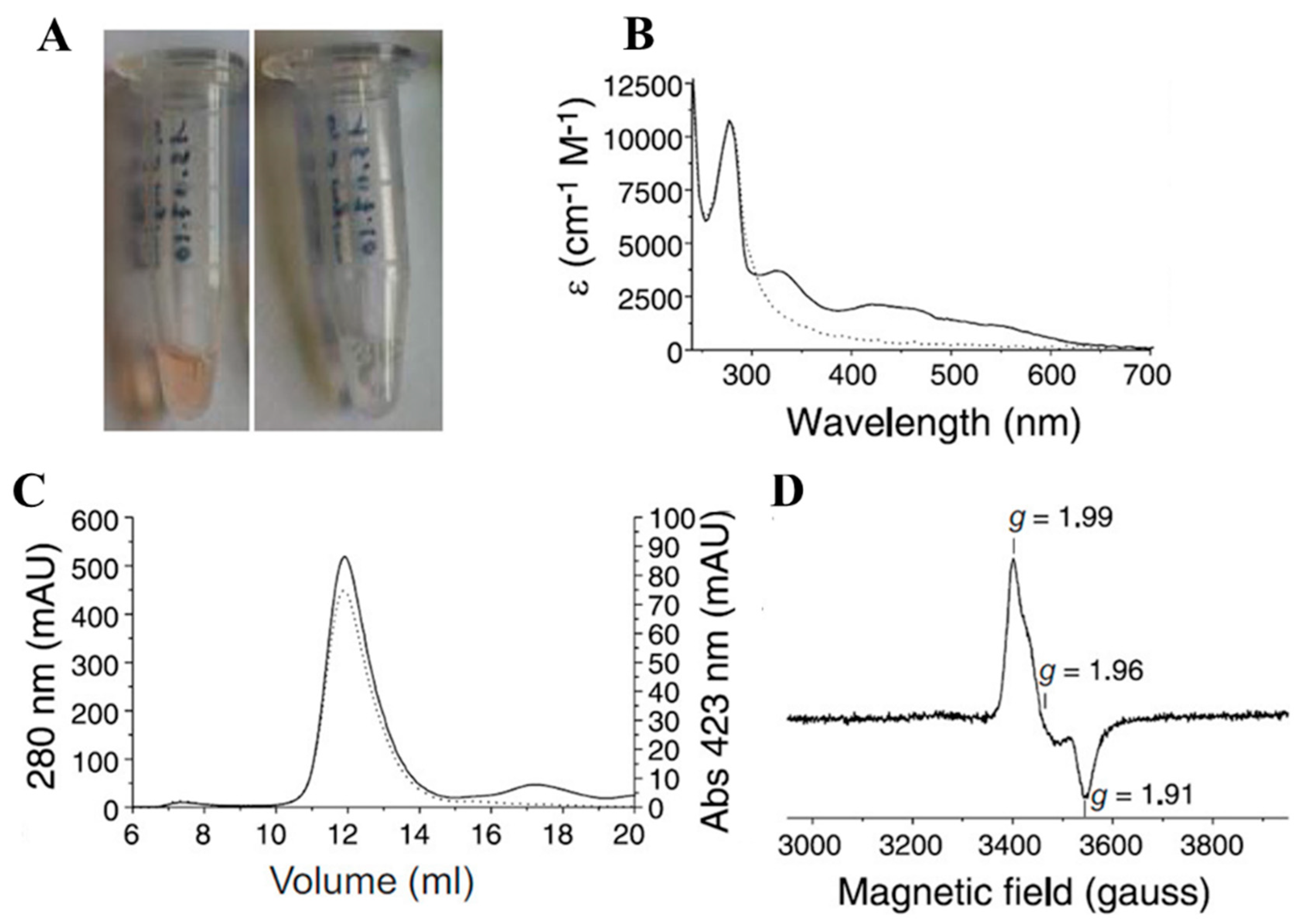 Inorganics 12 00025 g004