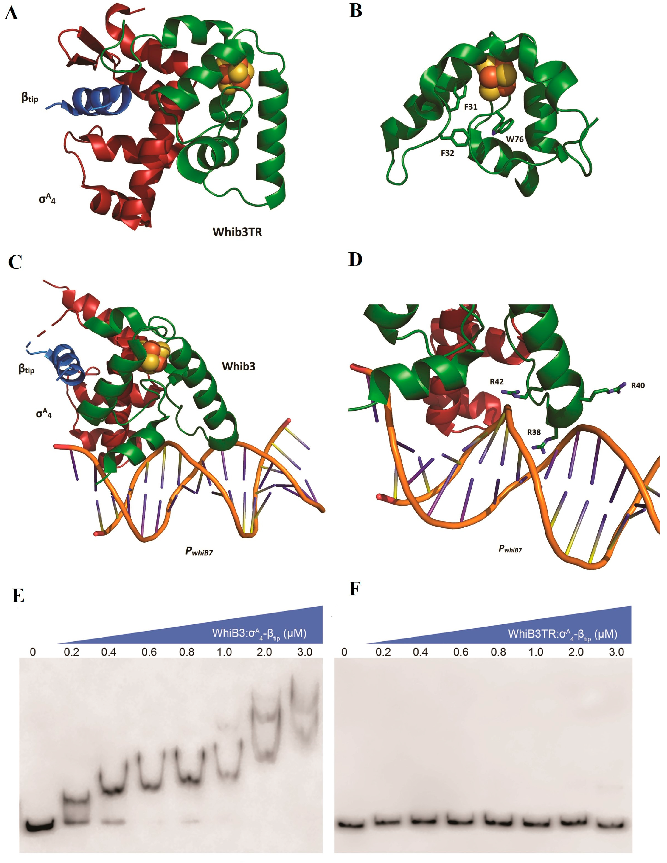 Inorganics 12 00025 g010