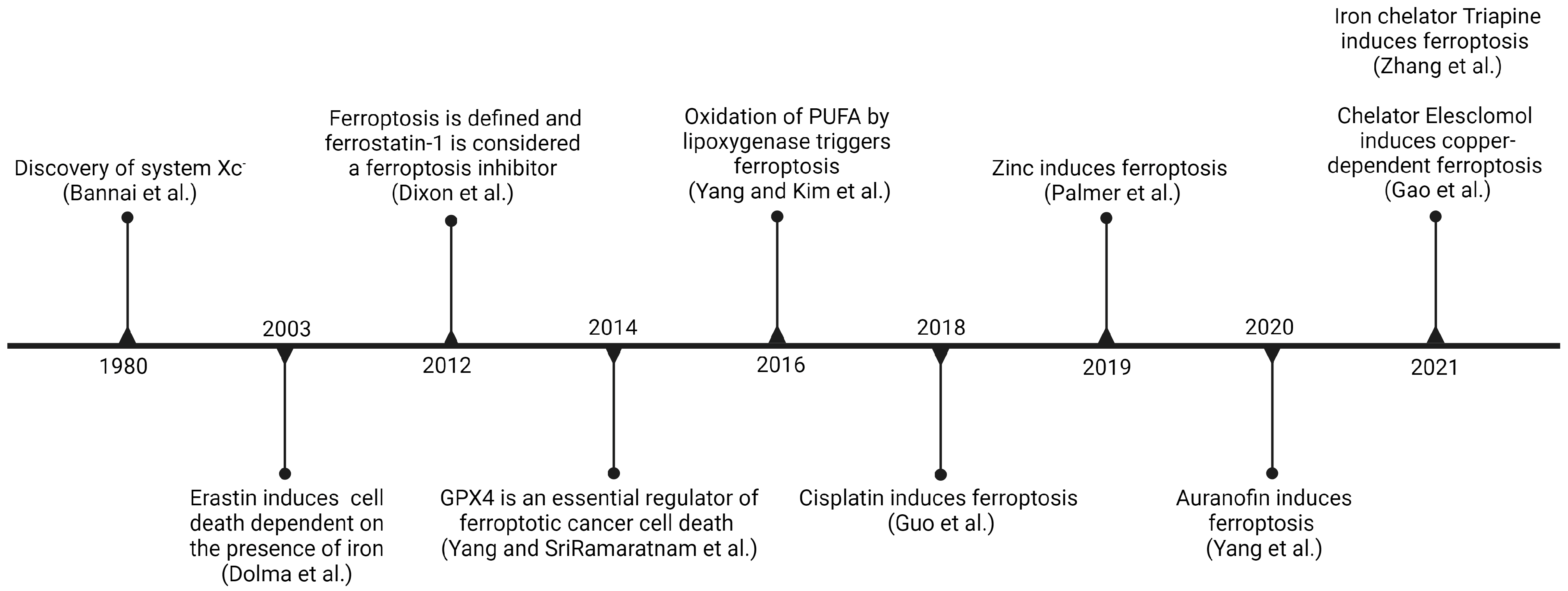 Inorganics 12 00026 g001