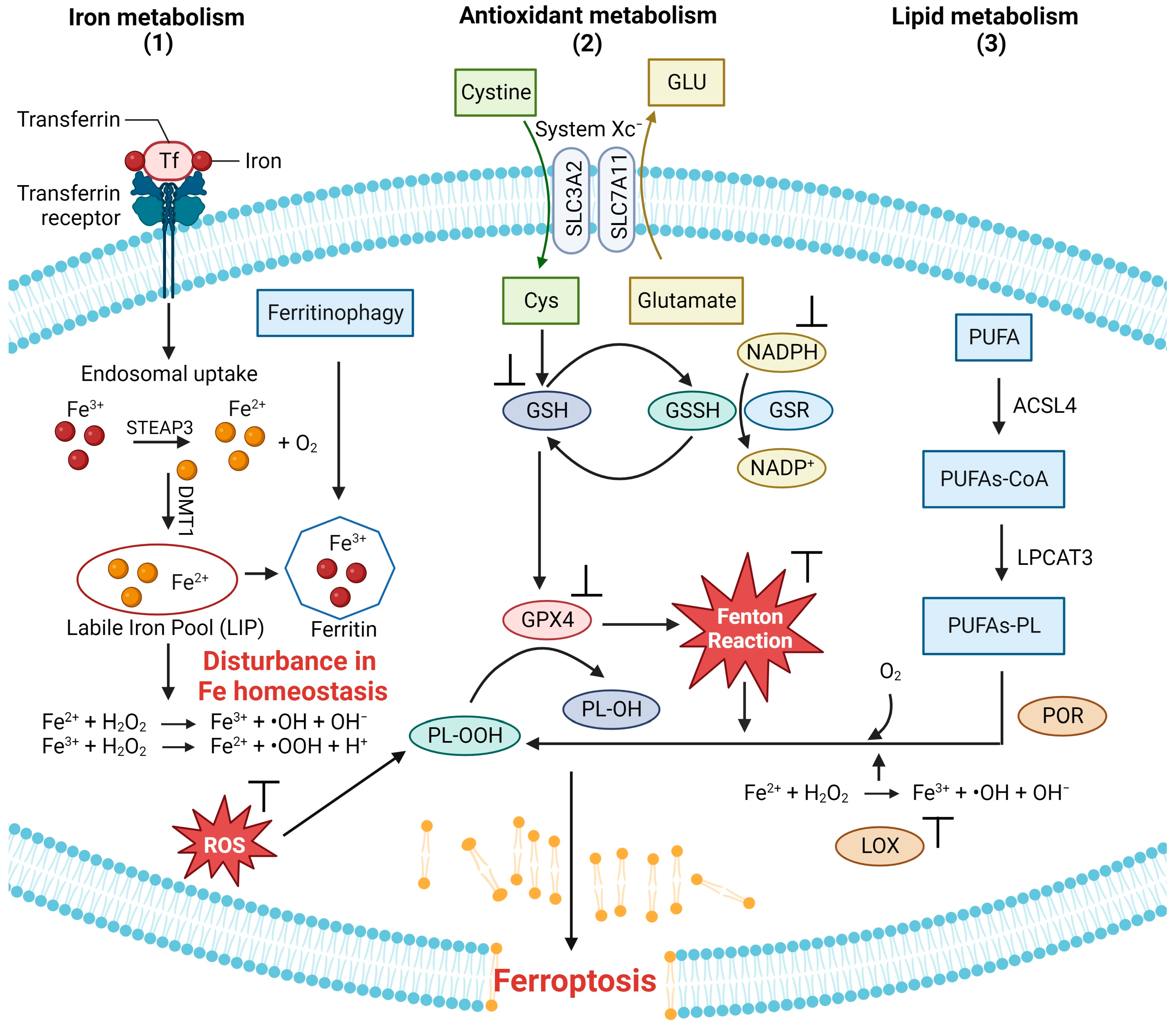 Inorganics 12 00026 g002