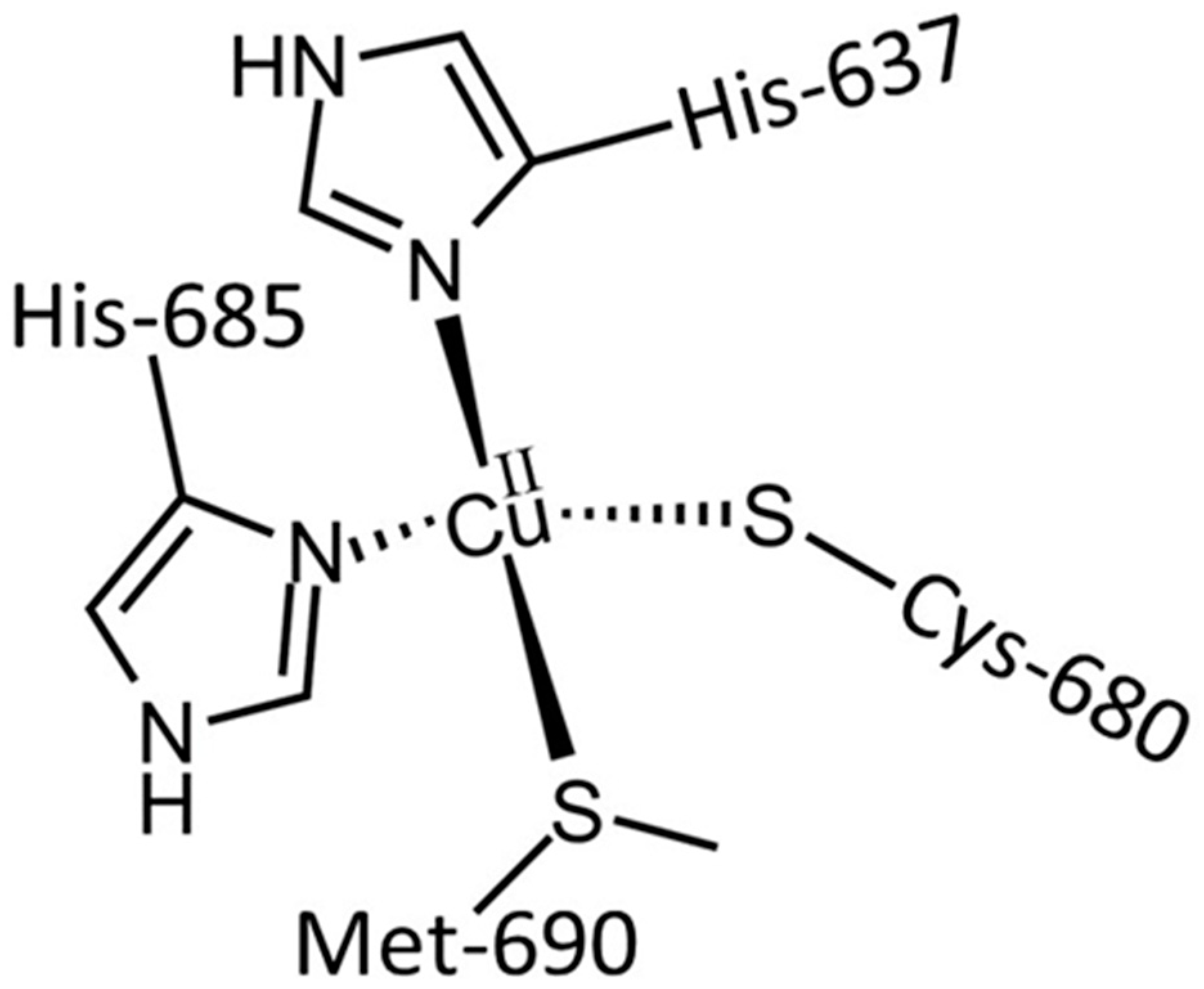 Inorganics 12 00026 g006