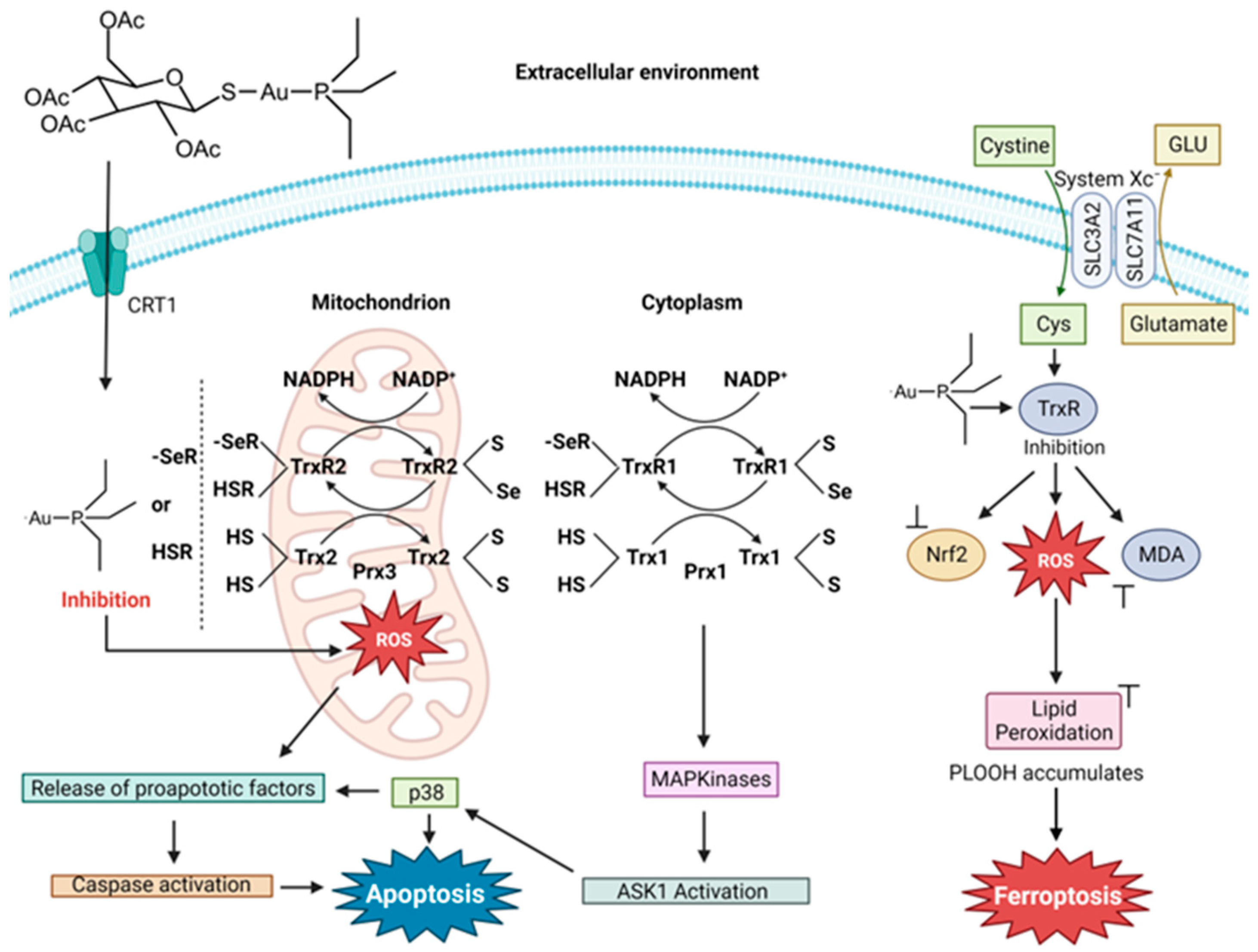 Inorganics 12 00026 g013