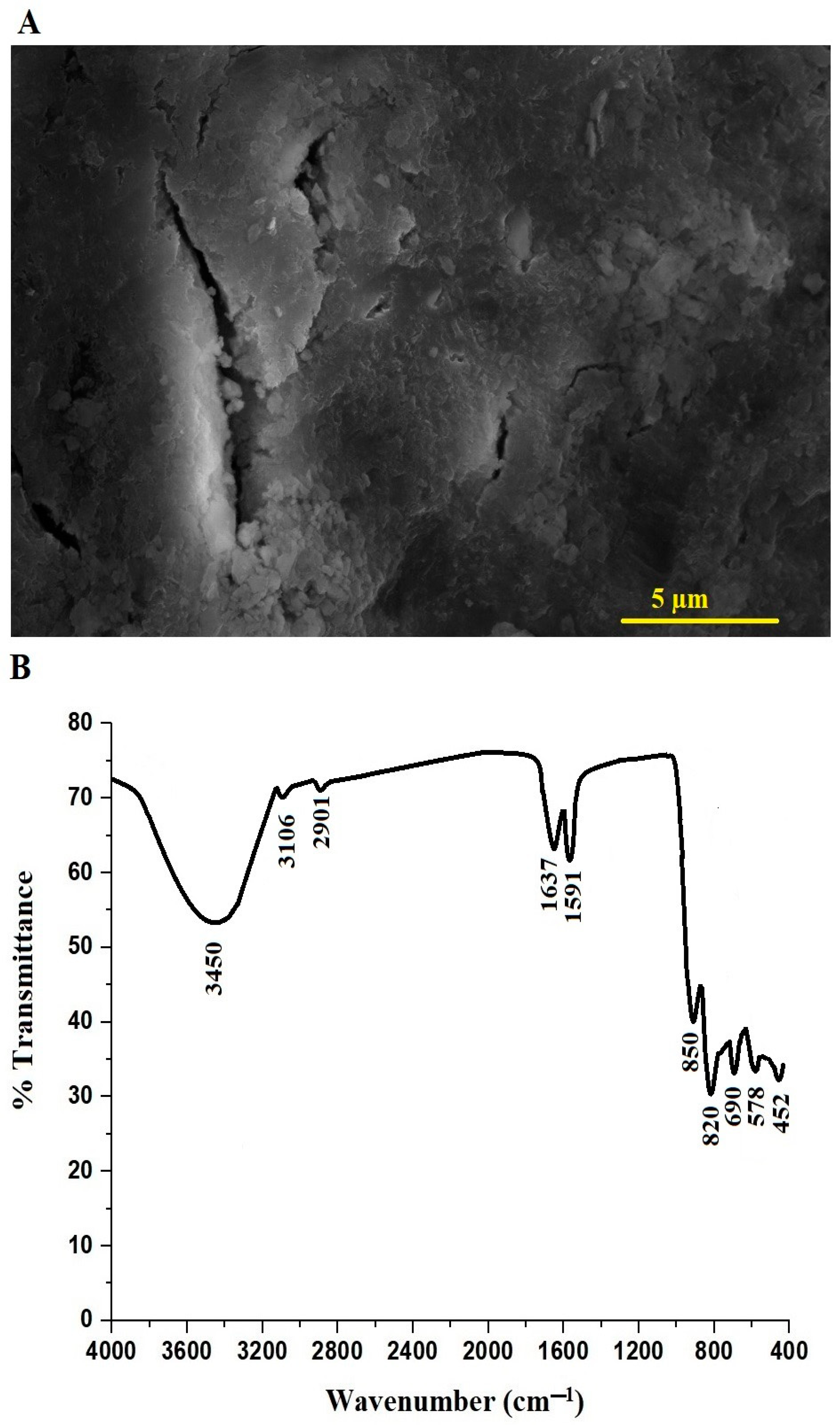 Inorganics 12 00030 g007
