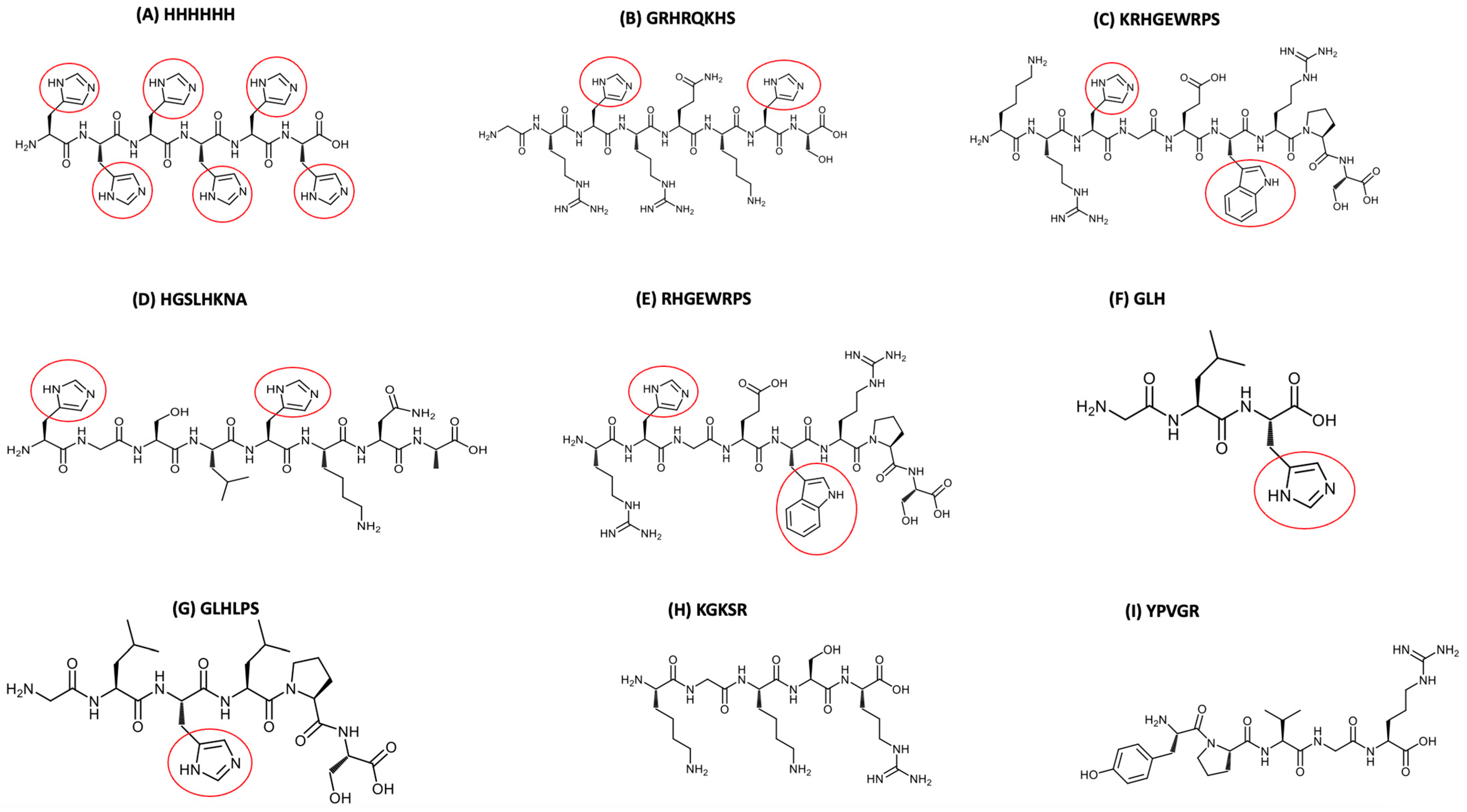 Inorganics 12 00031 g001