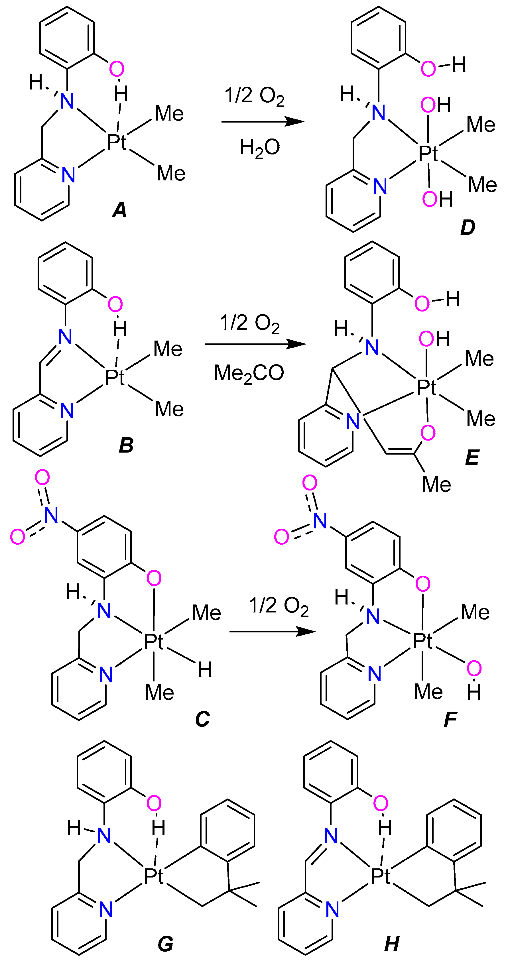Inorganics 12 00032 sch002