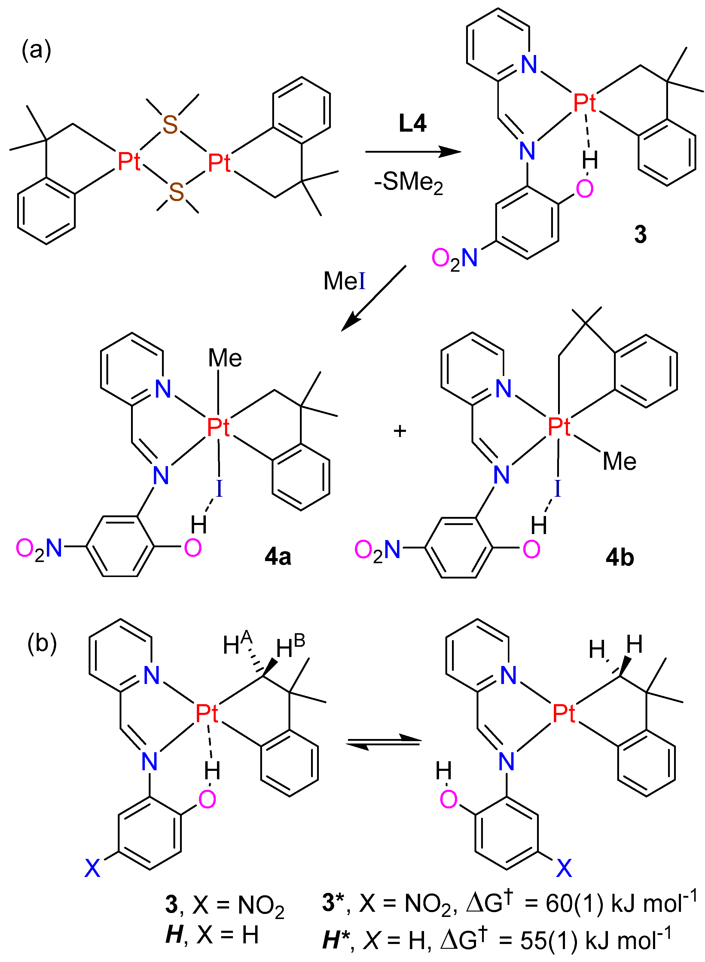 Inorganics 12 00032 sch004