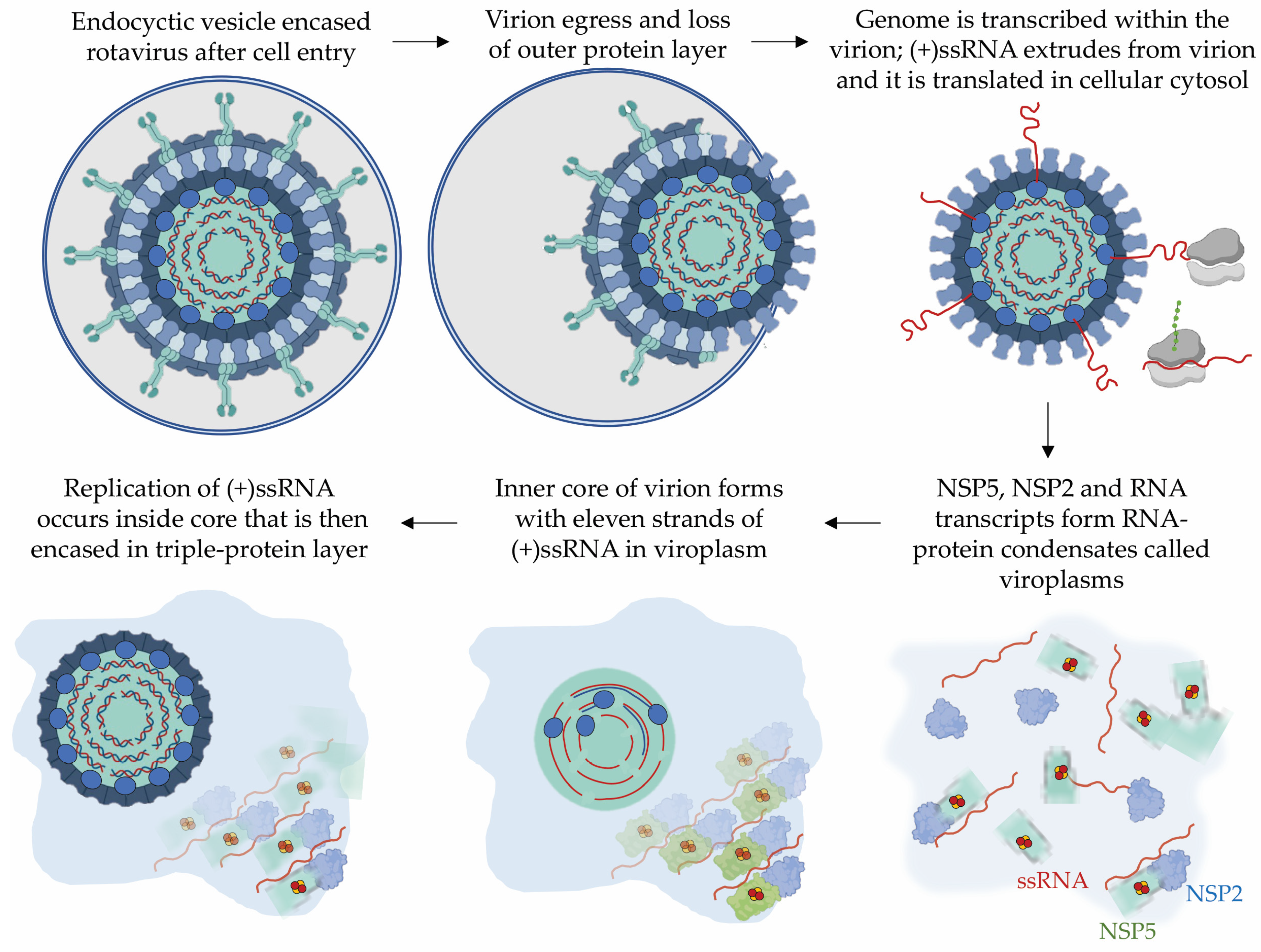 Inorganics 12 00034 g002