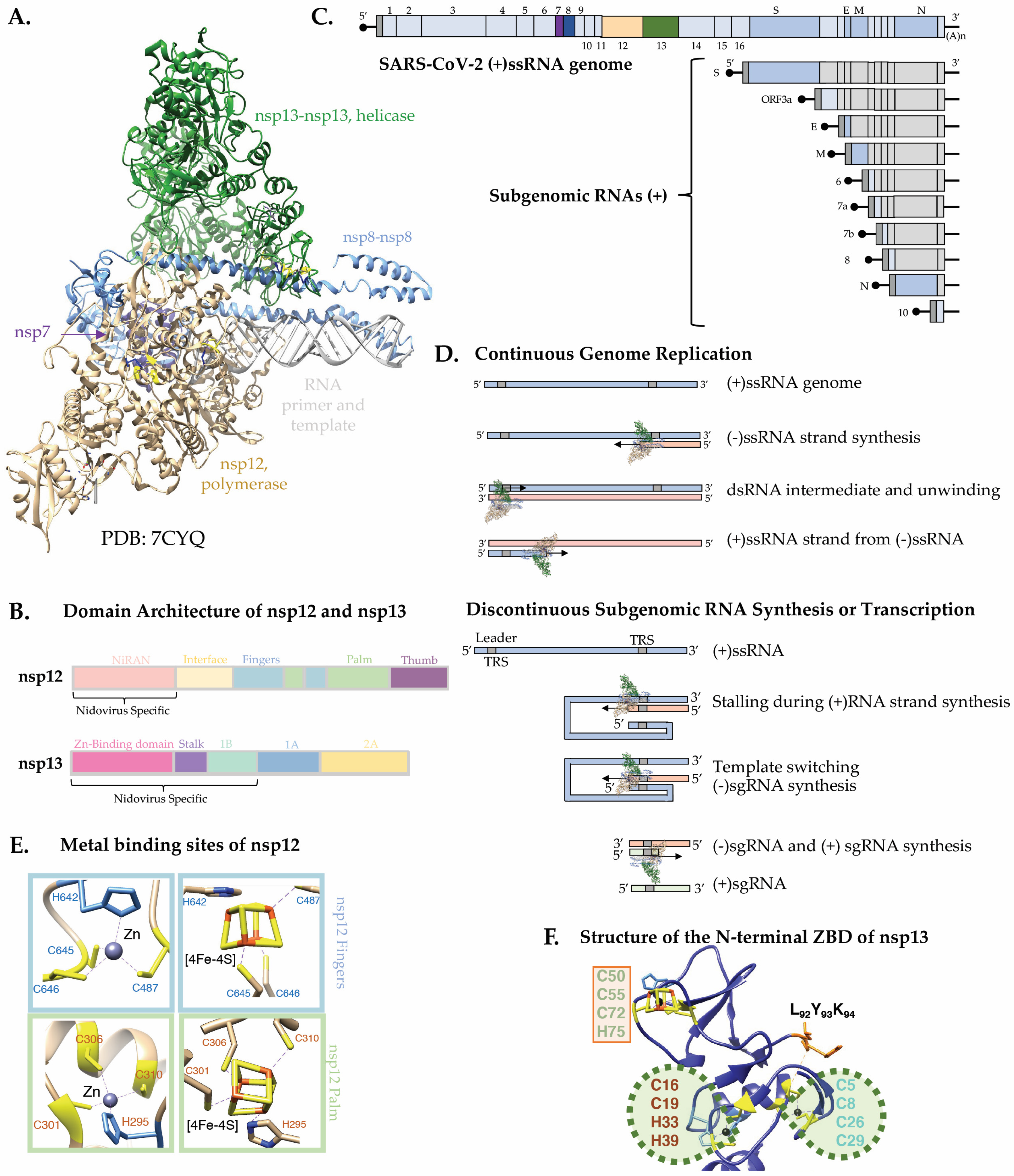 Inorganics 12 00034 g004