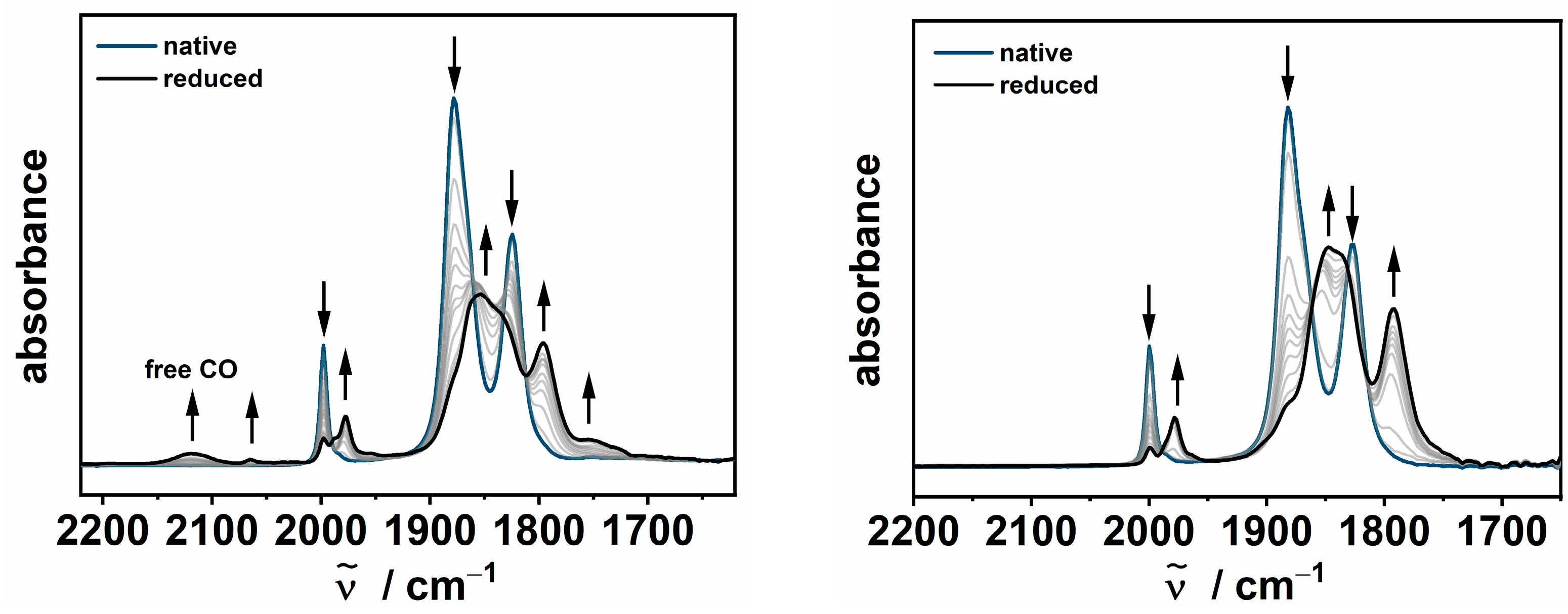 Inorganics 12 00046 g004