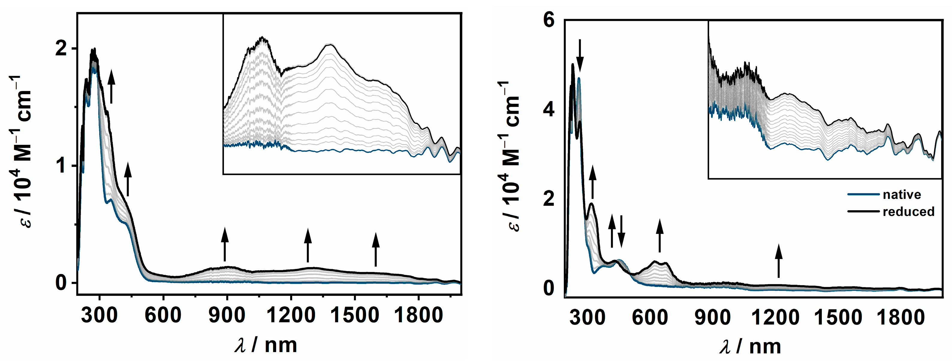 Inorganics 12 00046 g005