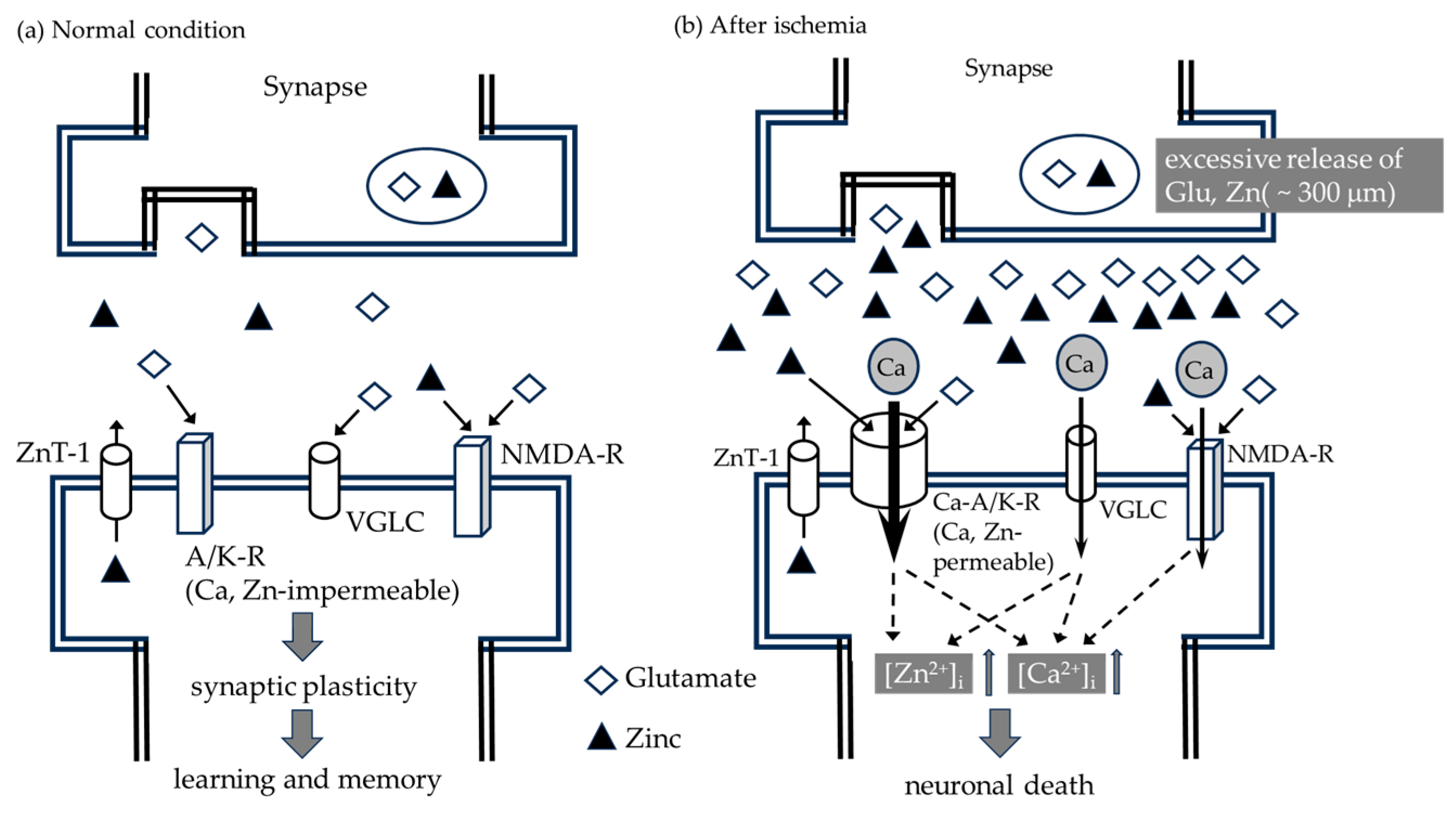 Inorganics 12 00050 g003 Inorganics 12 00050 g003