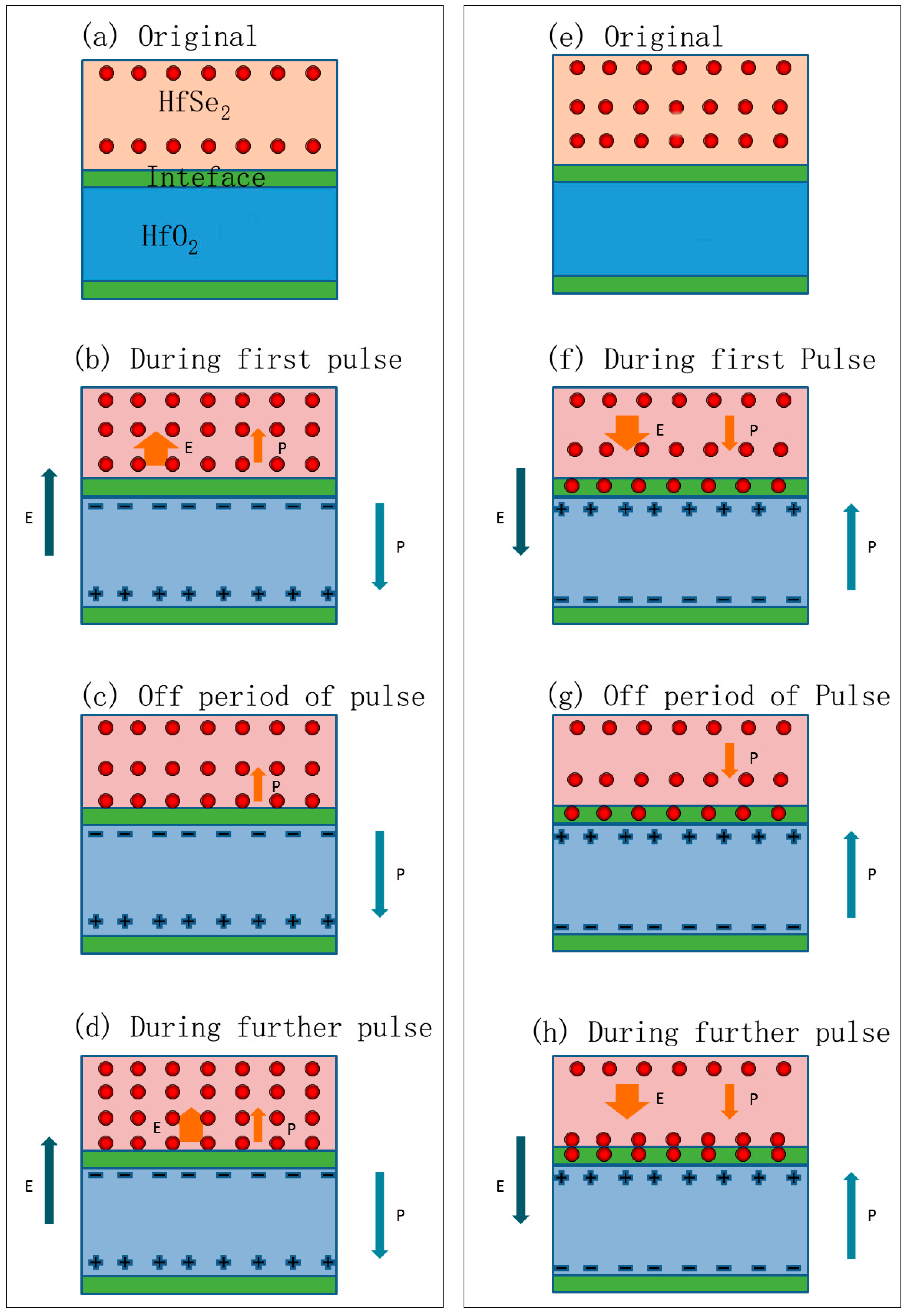 Inorganics 12 00060 g004