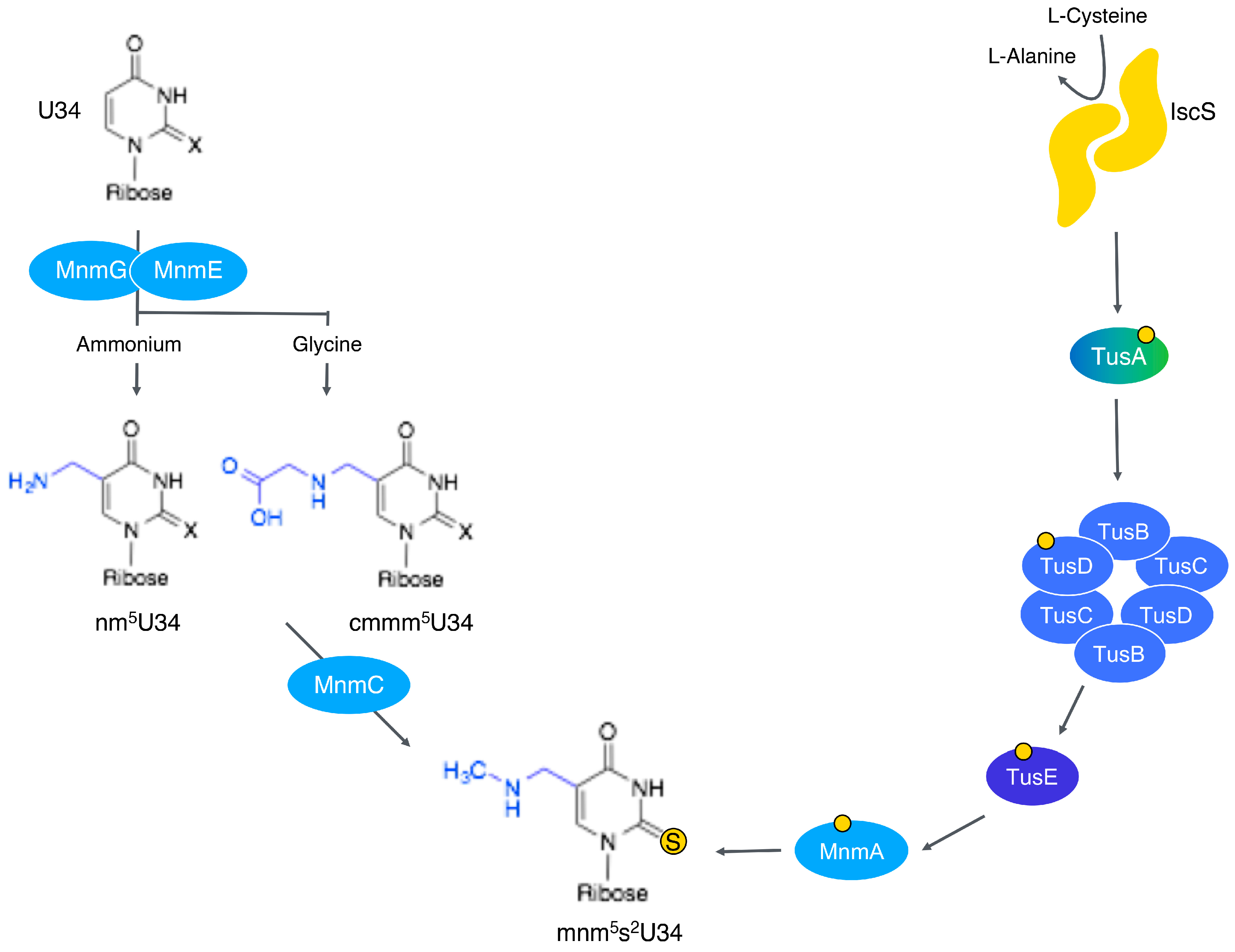 Inorganics 12 00067 g001