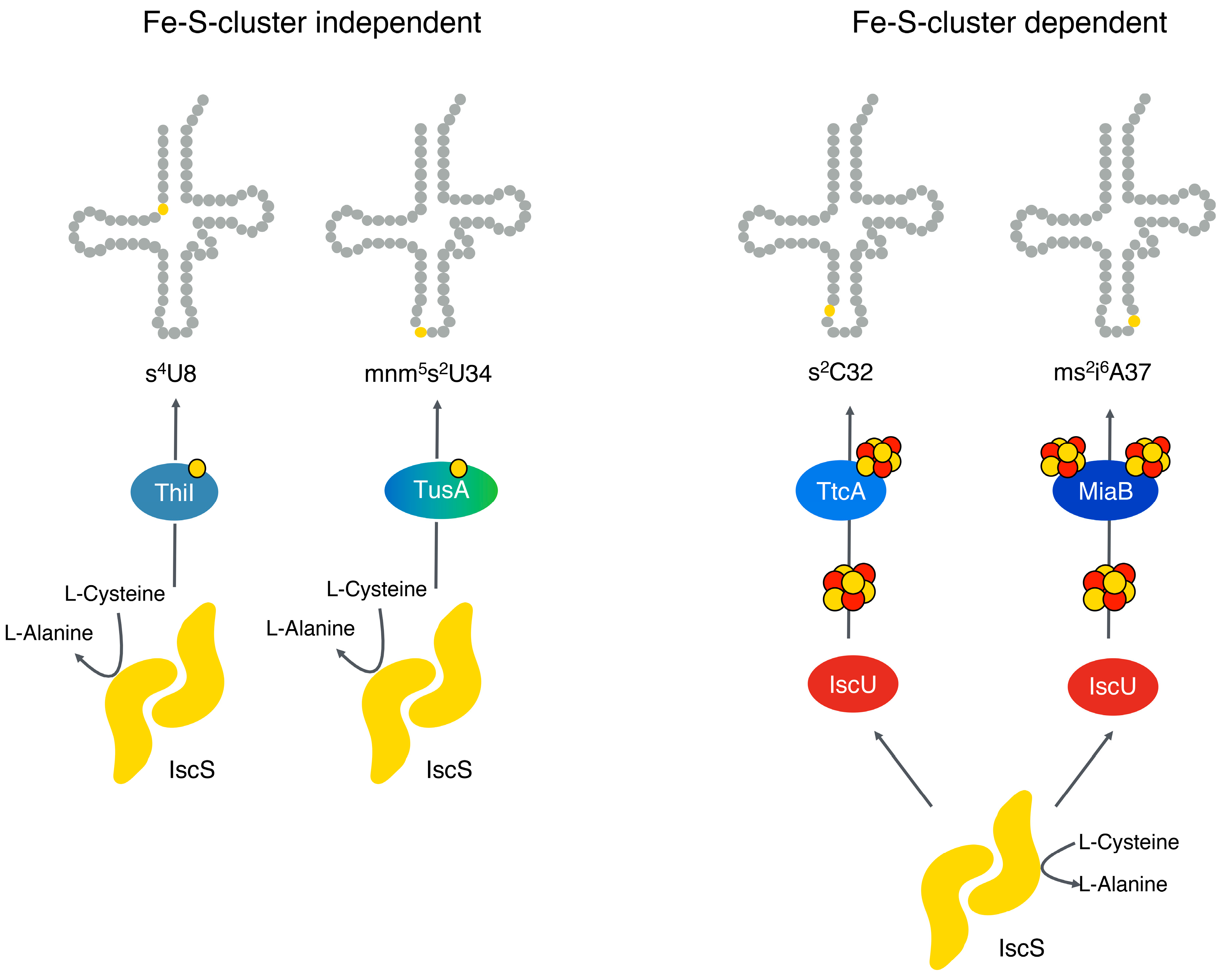 Inorganics 12 00067 g002
