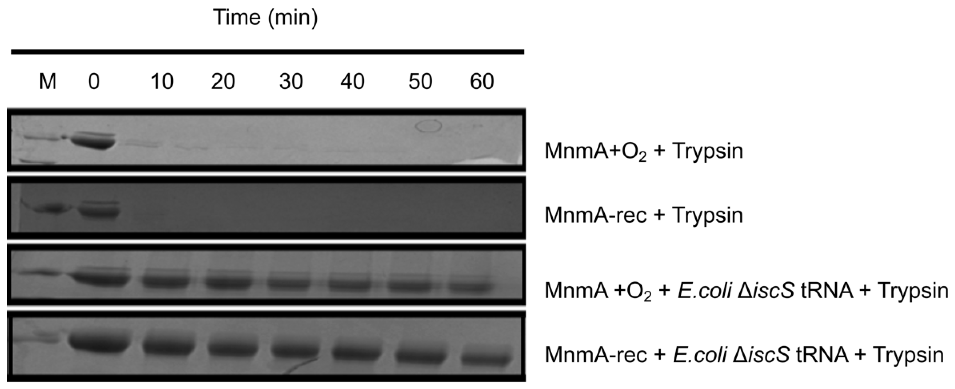 Inorganics 12 00067 g005