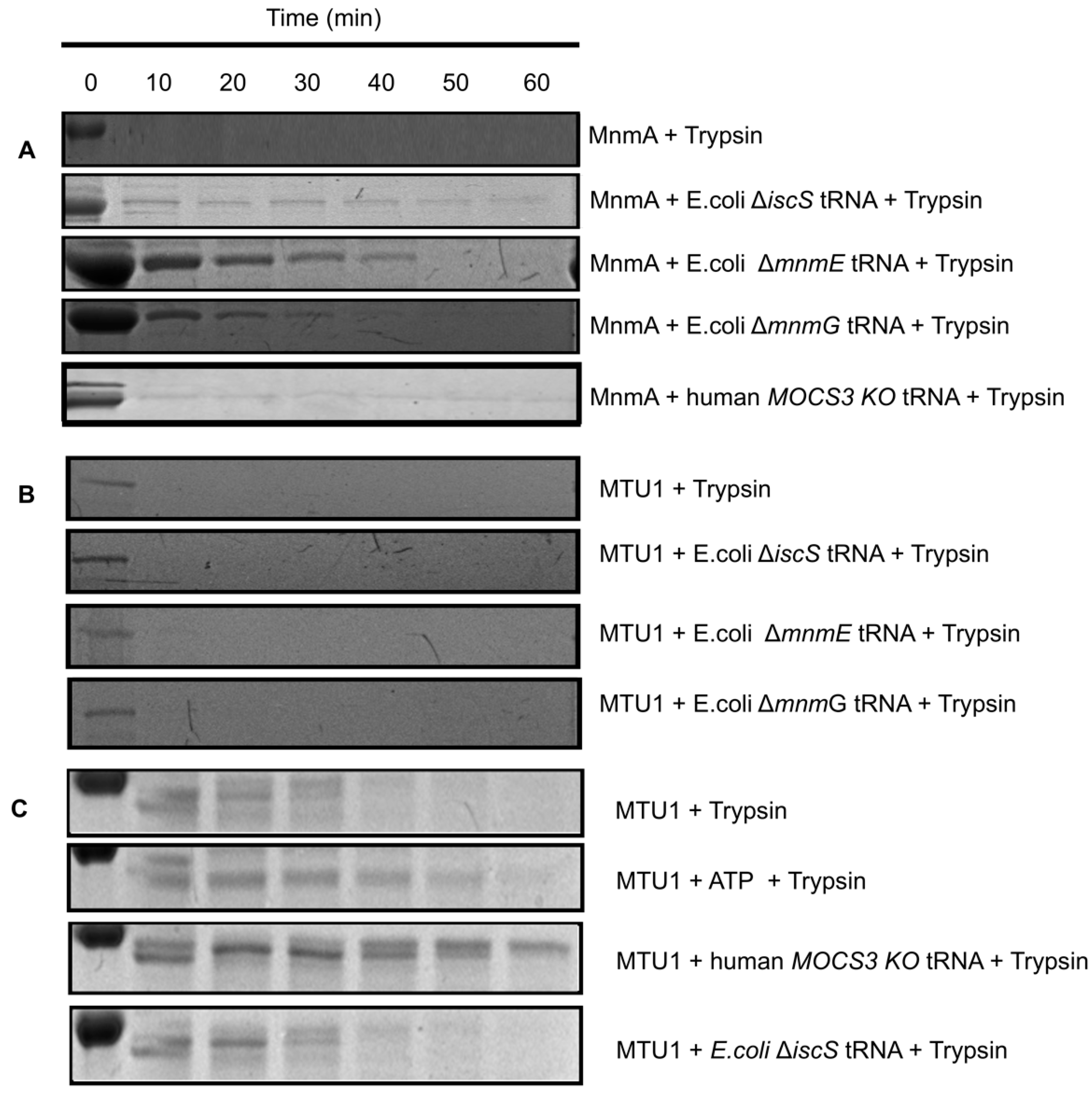 Inorganics 12 00067 g009