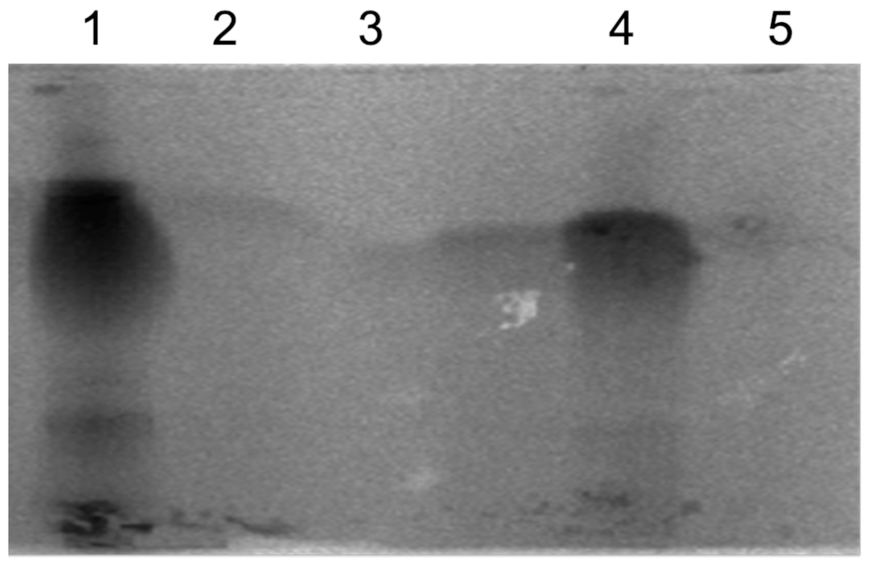 Inorganics 12 00067 g010