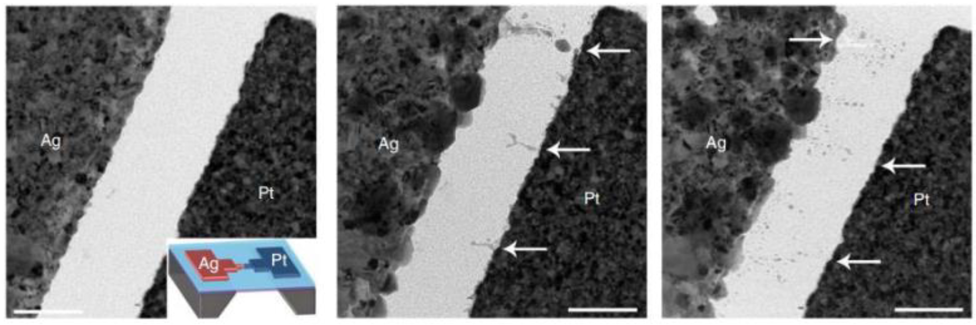 Inorganics 12 00087 g004