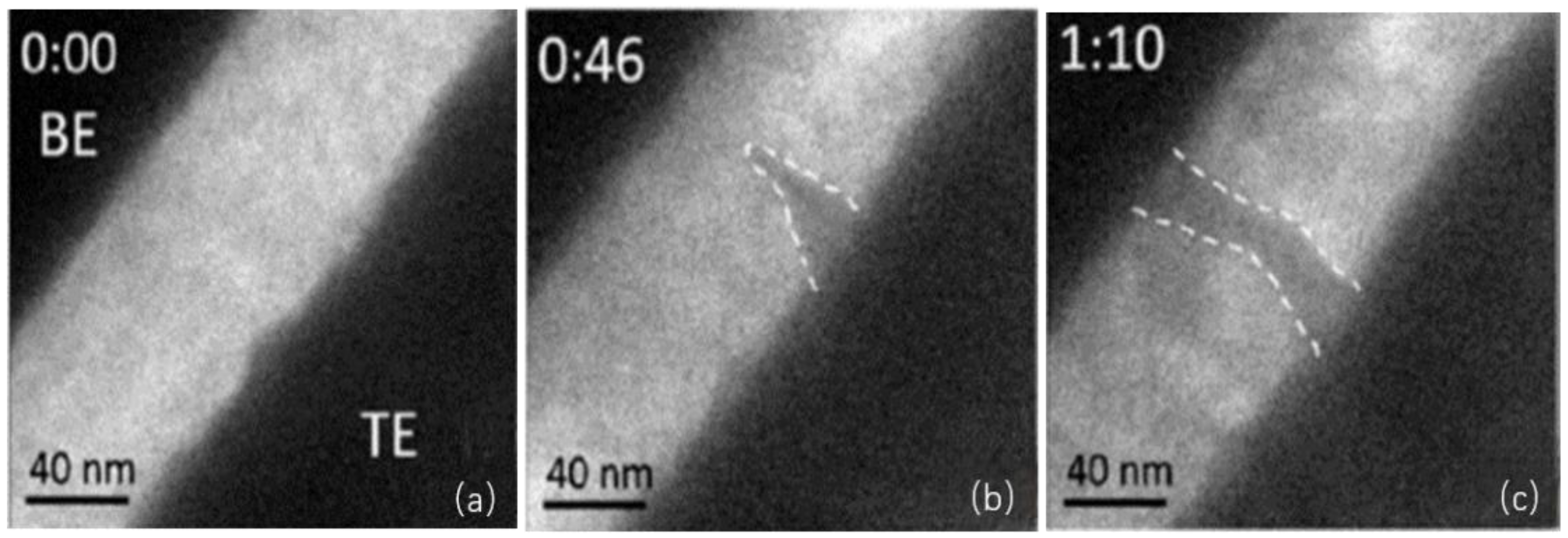 Inorganics 12 00087 g005