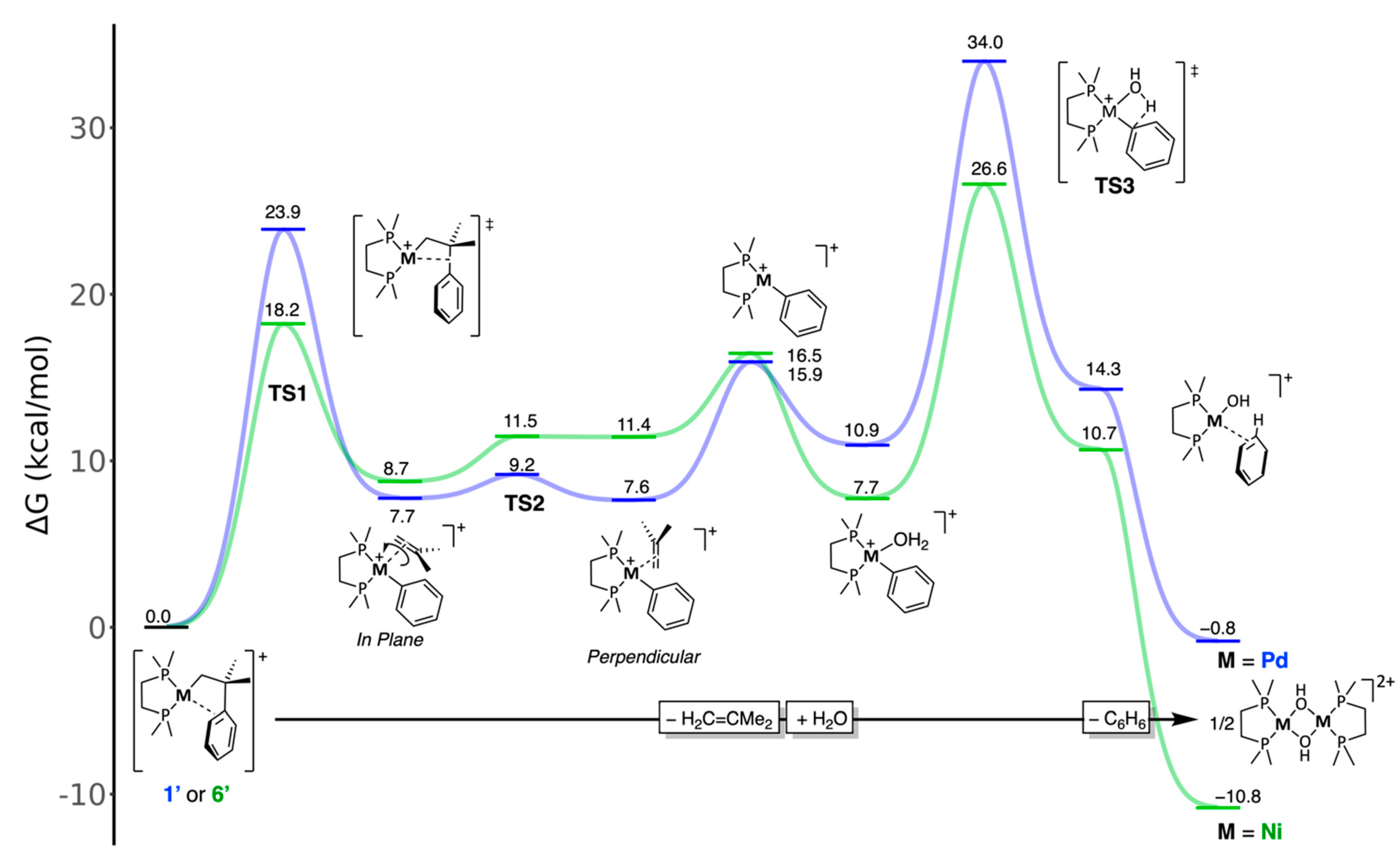 Inorganics 12 00089 g004