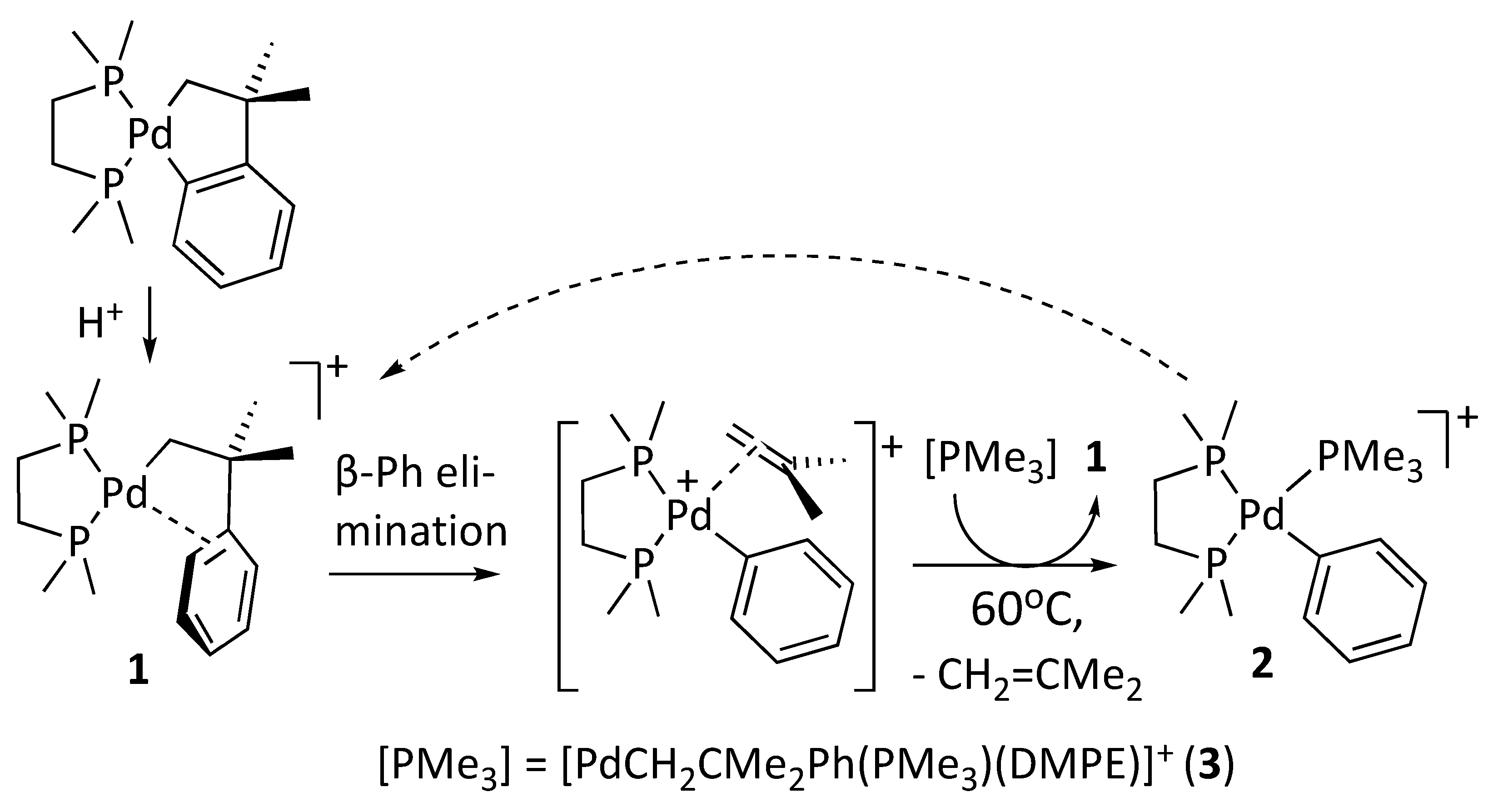 Inorganics 12 00089 sch002