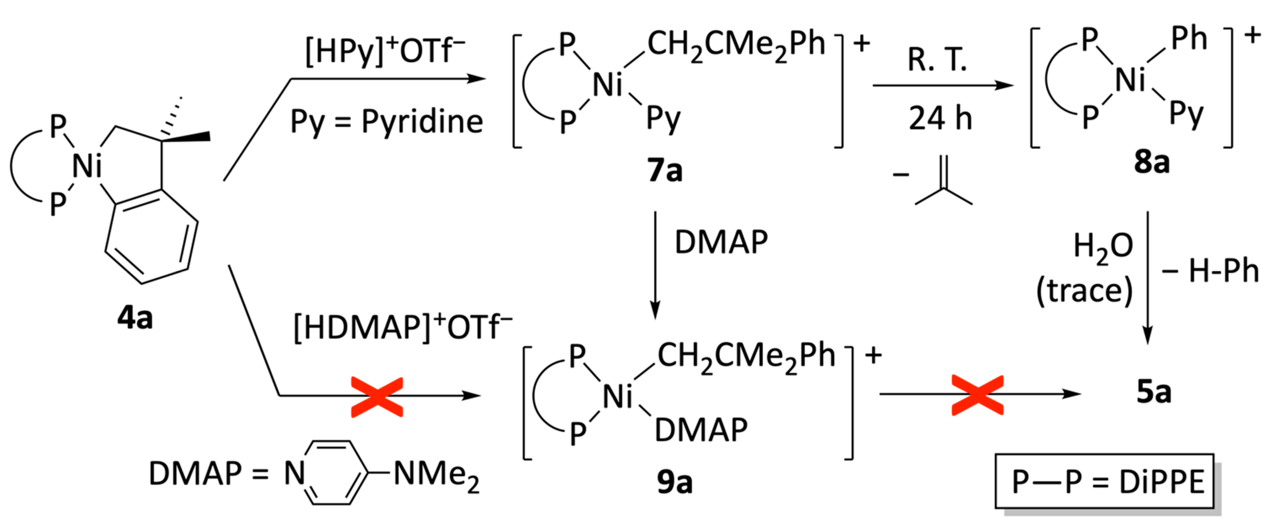 Inorganics 12 00089 sch004