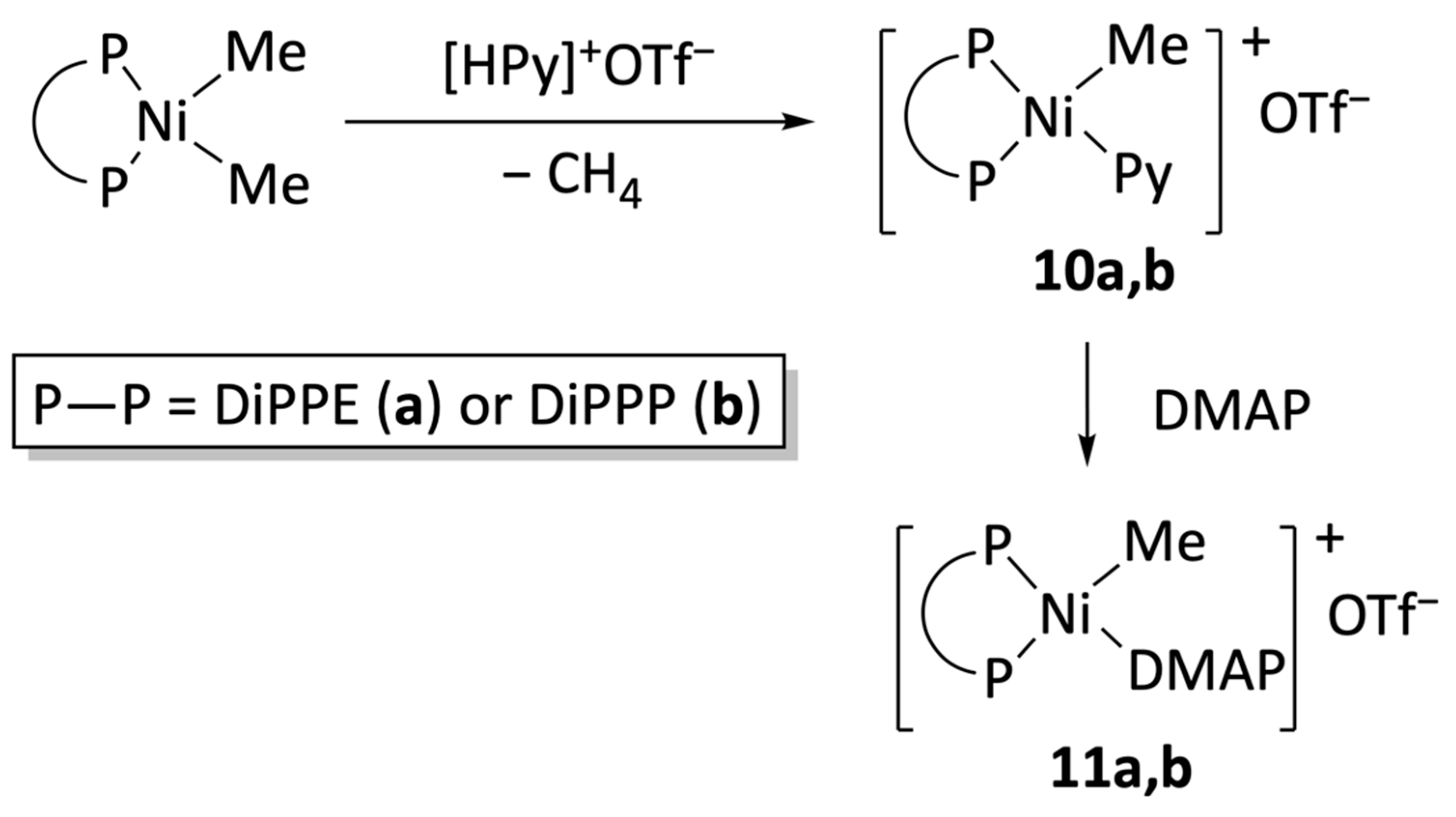 Inorganics 12 00089 sch005
