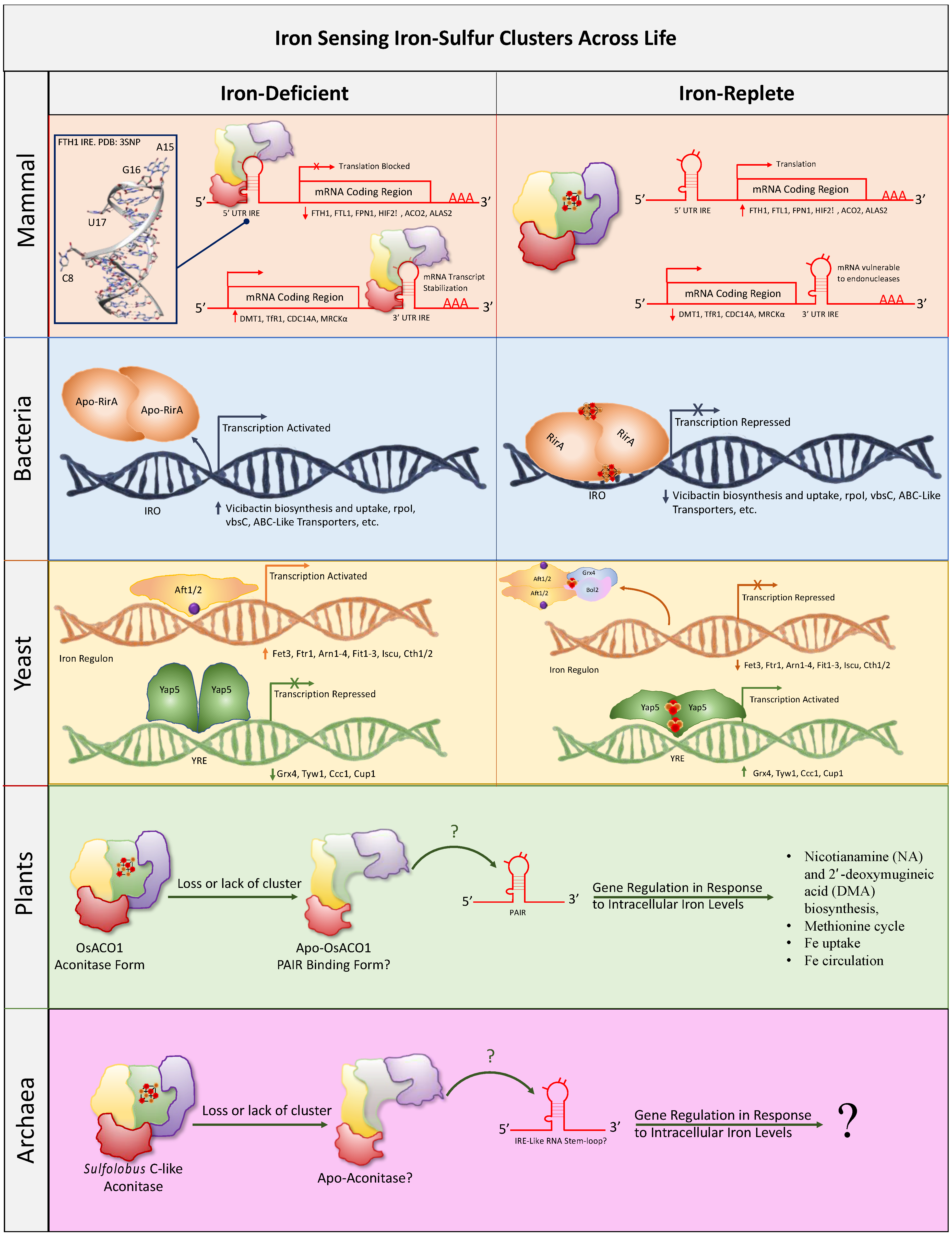 Inorganics 12 00101 g003