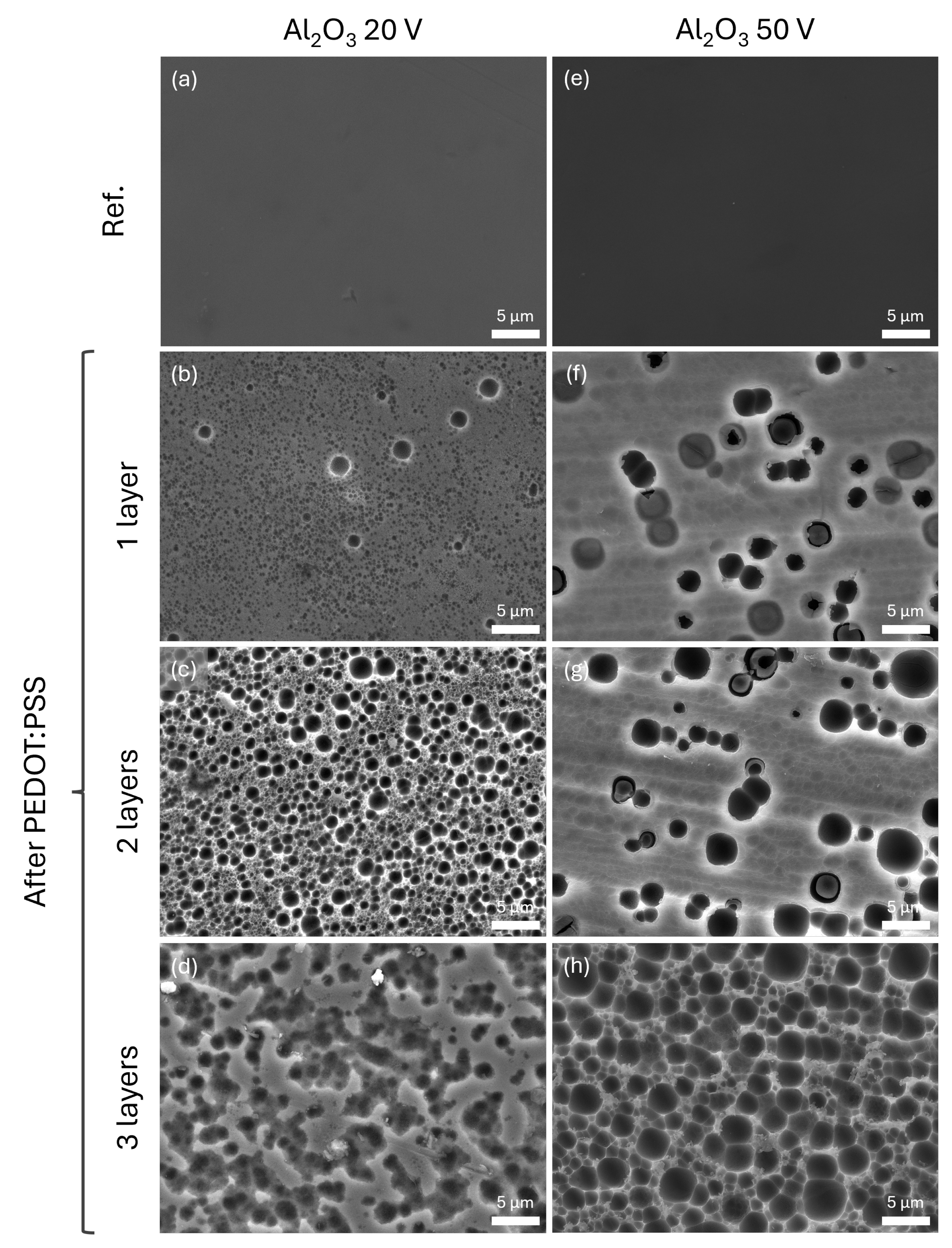 Inorganics 12 00104 g006