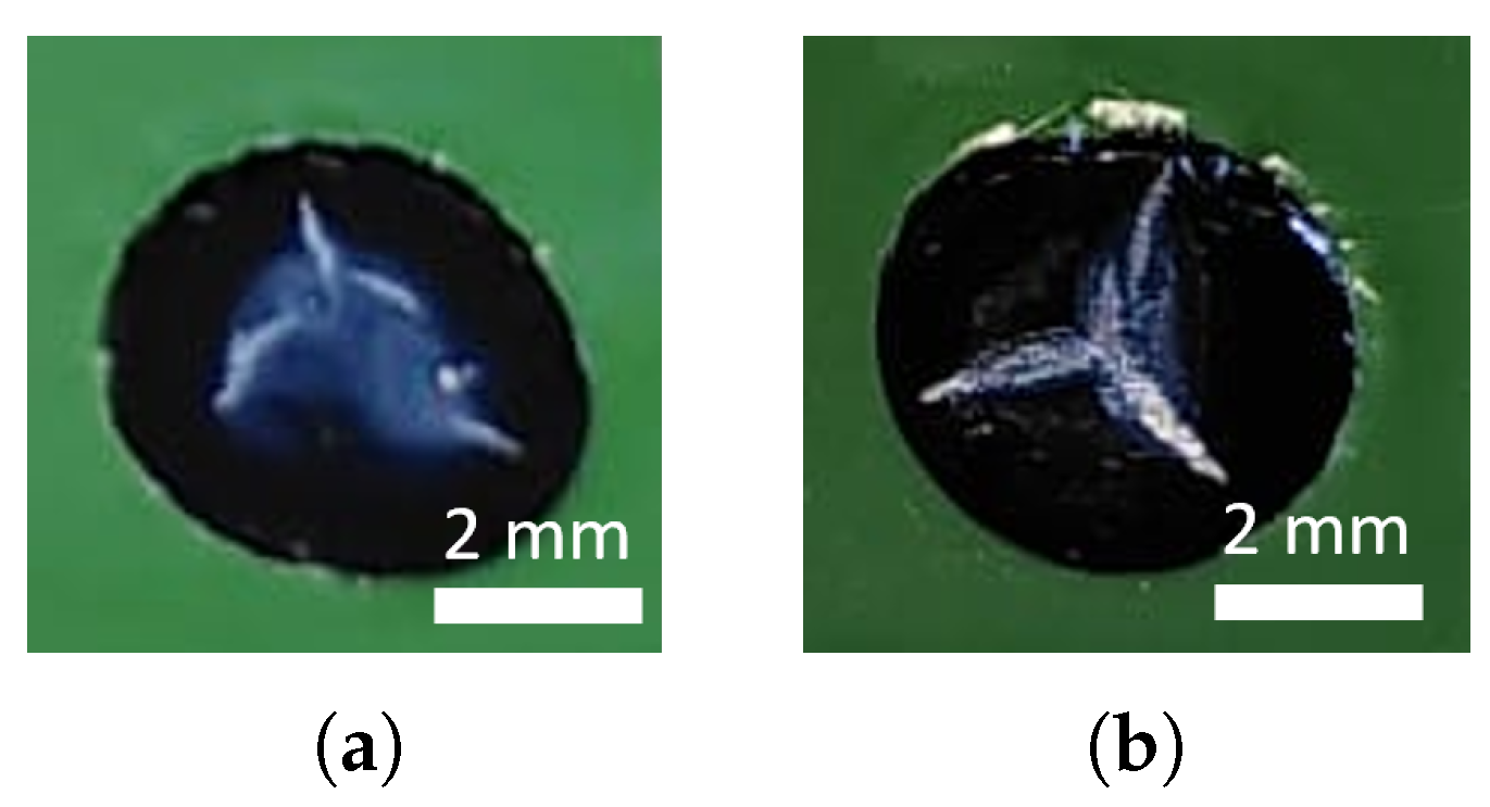 Inorganics 12 00104 g008