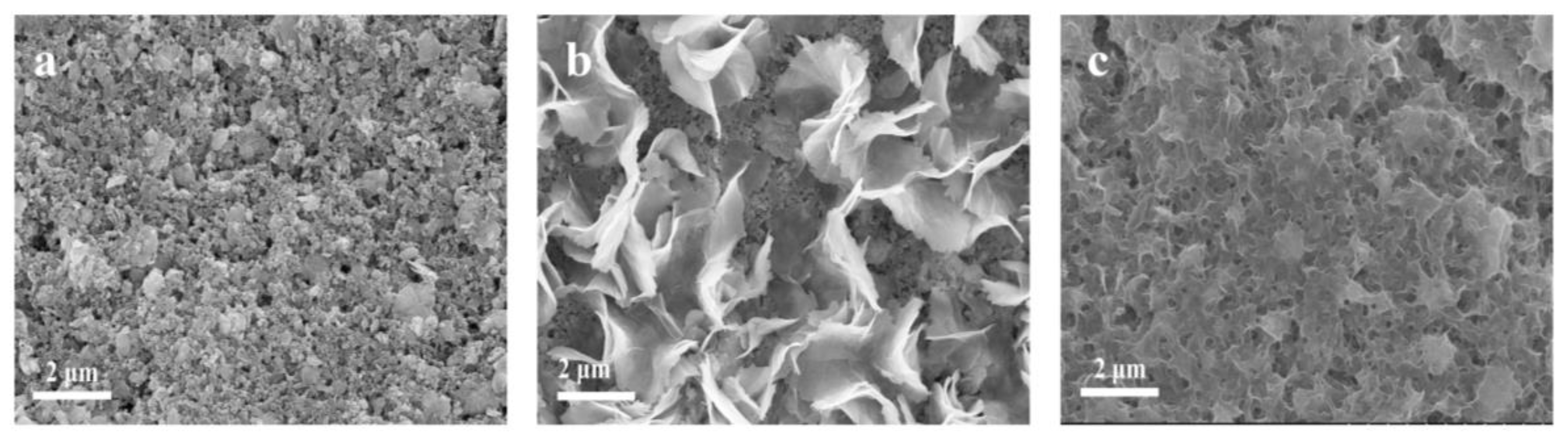 Inorganics 12 00107 g011