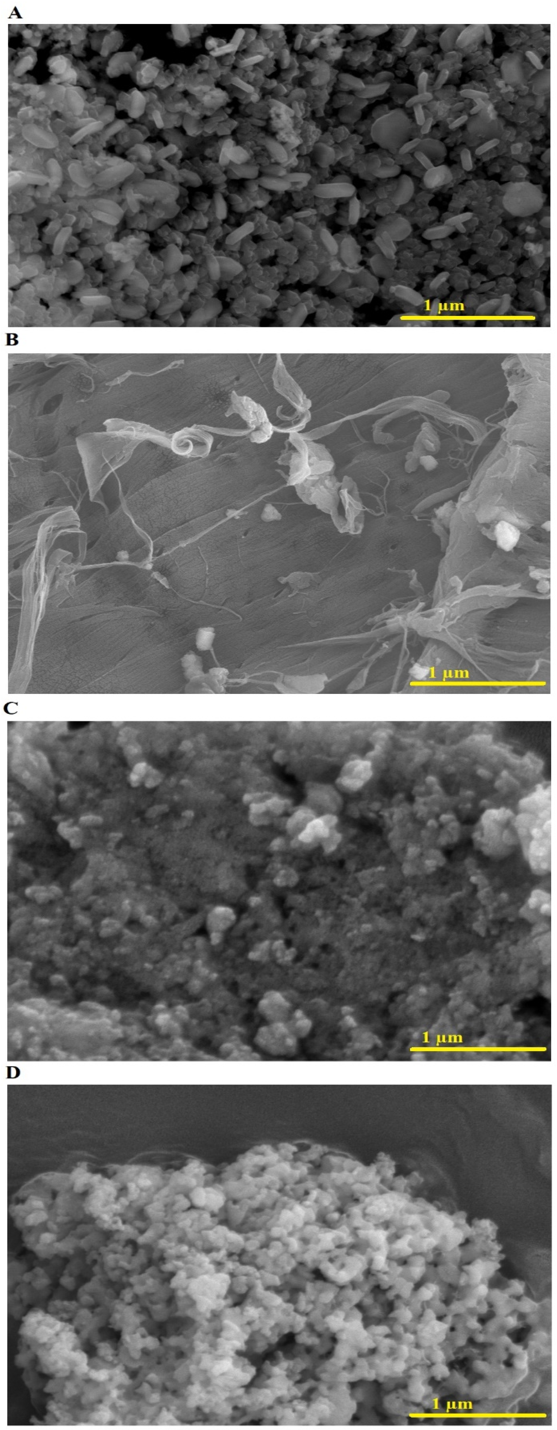 Inorganics 12 00113 g004